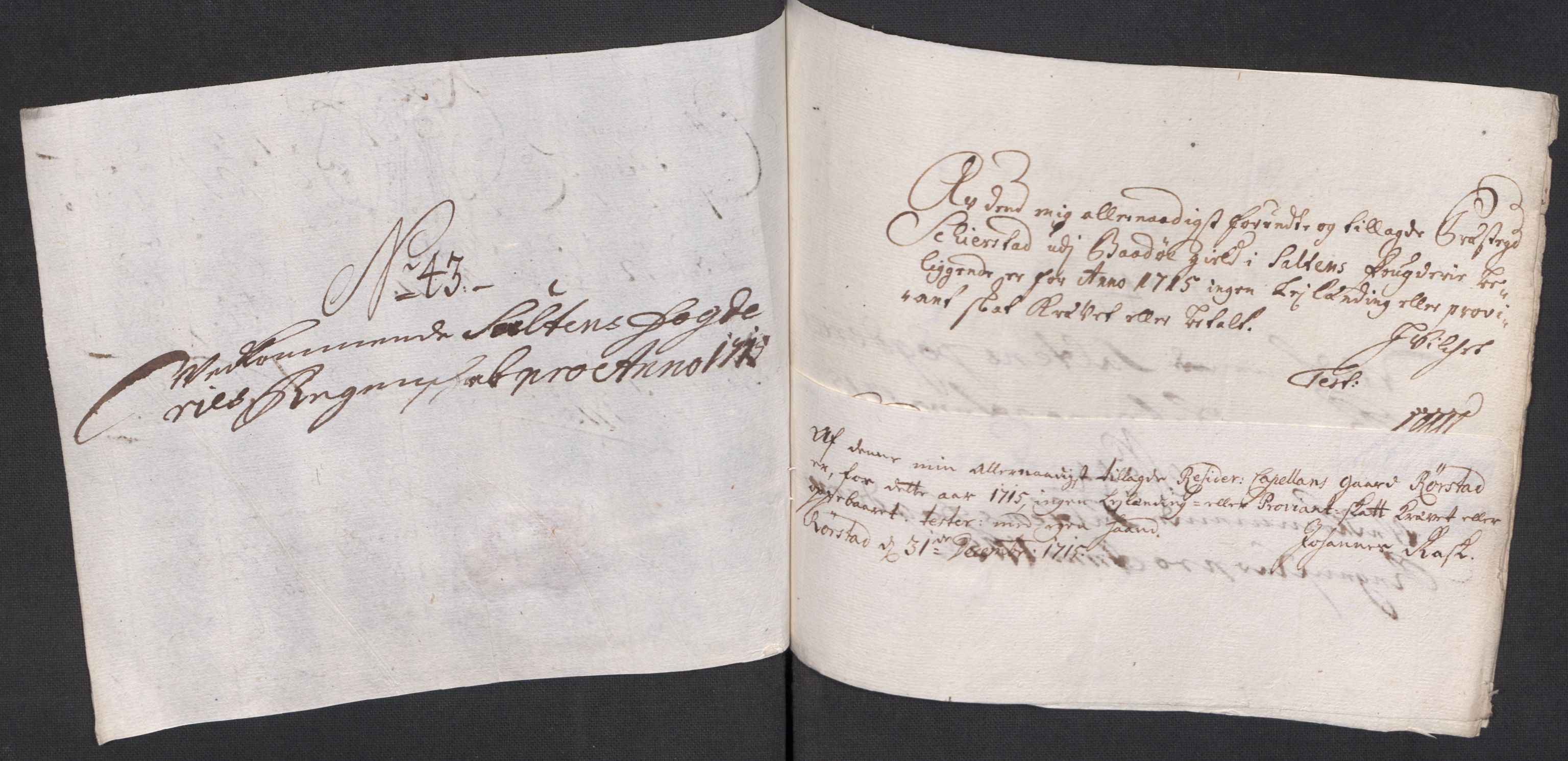 Rentekammeret inntil 1814, Reviderte regnskaper, Fogderegnskap, AV/RA-EA-4092/R66/L4585: Fogderegnskap Salten, 1715, s. 308