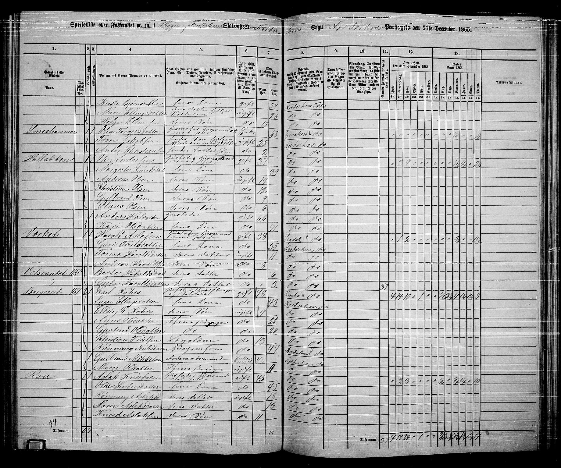 RA, Folketelling 1865 for 0613L Norderhov prestegjeld, Norderhov sokn, Haug sokn og Lunder sokn, 1865, s. 195