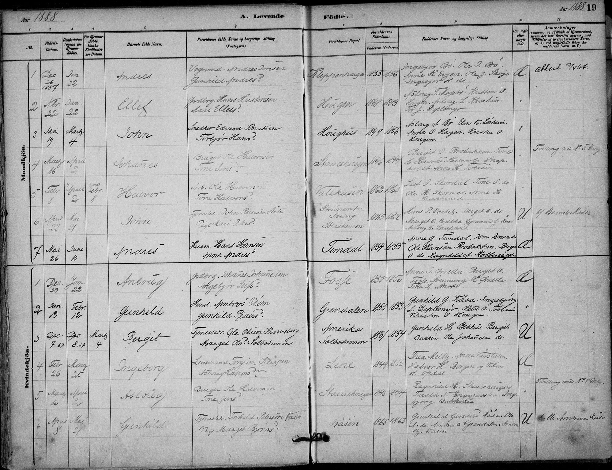 Hjartdal kirkebøker, AV/SAKO-A-270/F/Fb/L0002: Ministerialbok nr. II 2, 1880-1932, s. 19