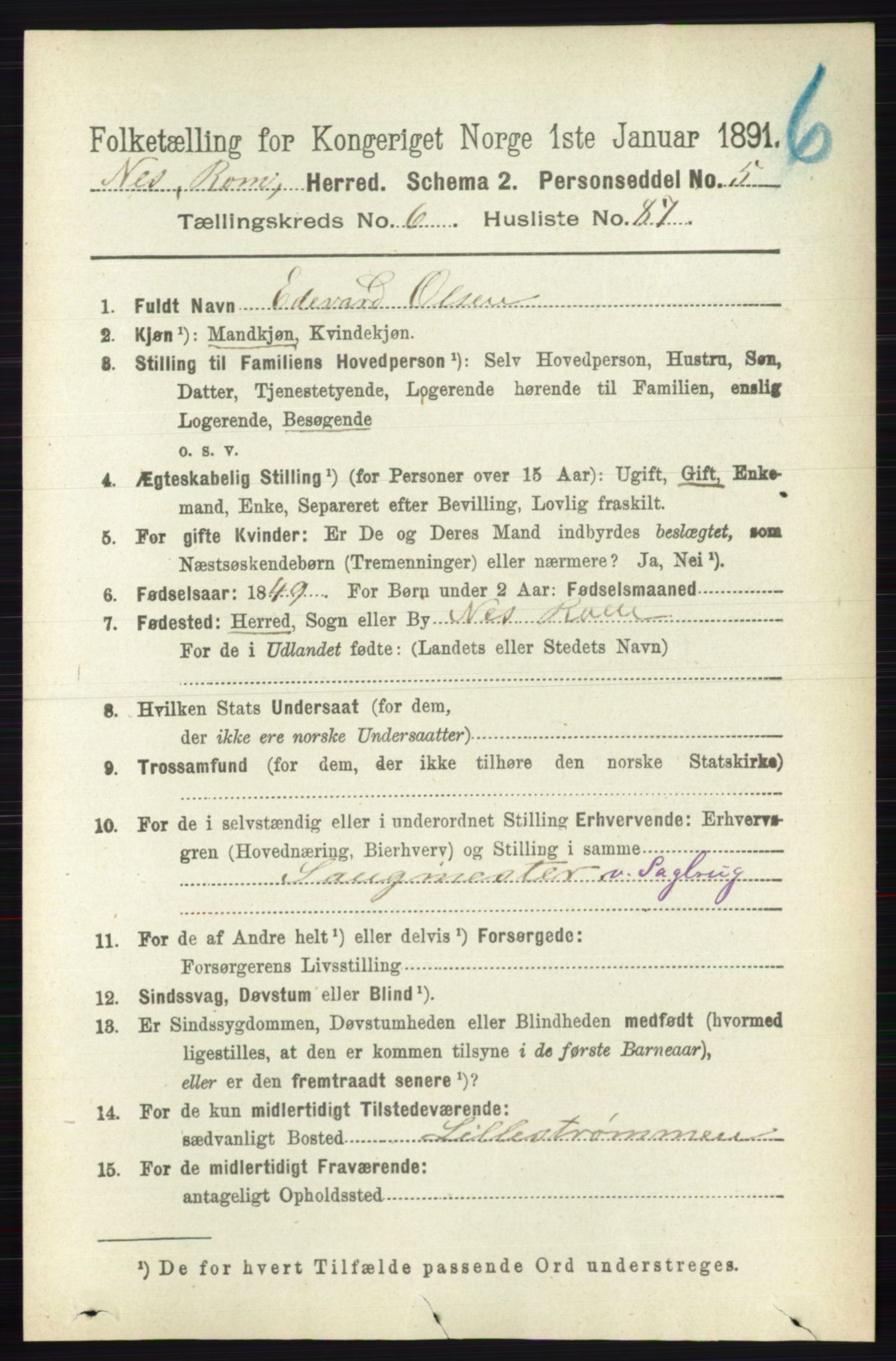 RA, Folketelling 1891 for 0236 Nes herred, 1891, s. 3920
