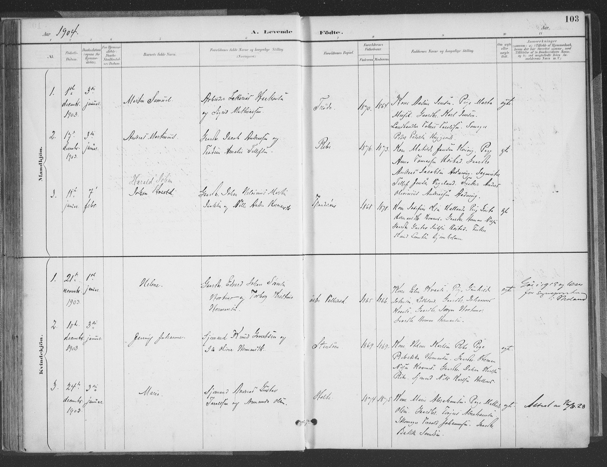Høvåg sokneprestkontor, AV/SAK-1111-0025/F/Fa/L0006: Ministerialbok nr. A 6, 1894-1923, s. 103