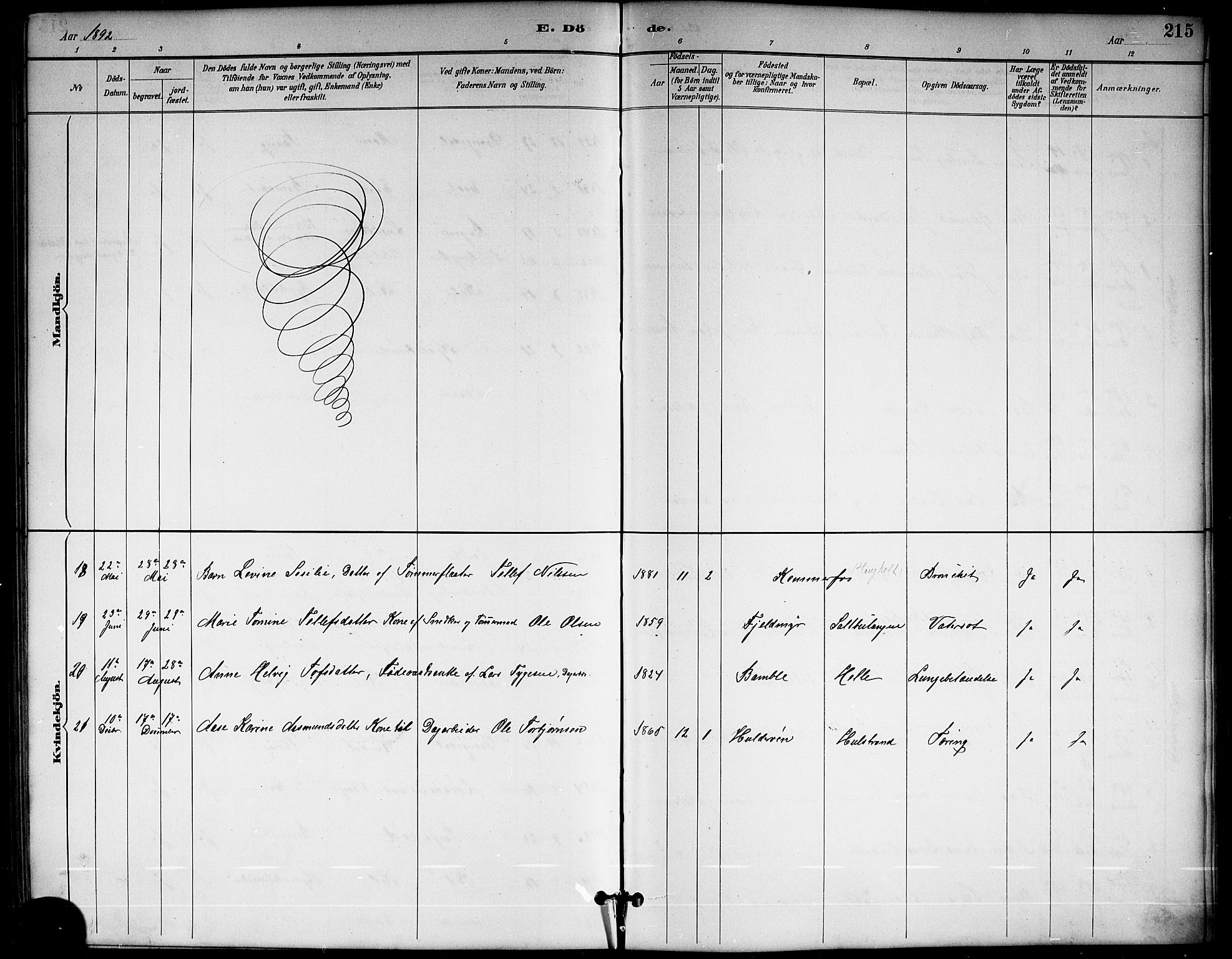Sannidal kirkebøker, AV/SAKO-A-296/G/Ga/L0003: Klokkerbok nr. 3, 1887-1922, s. 215