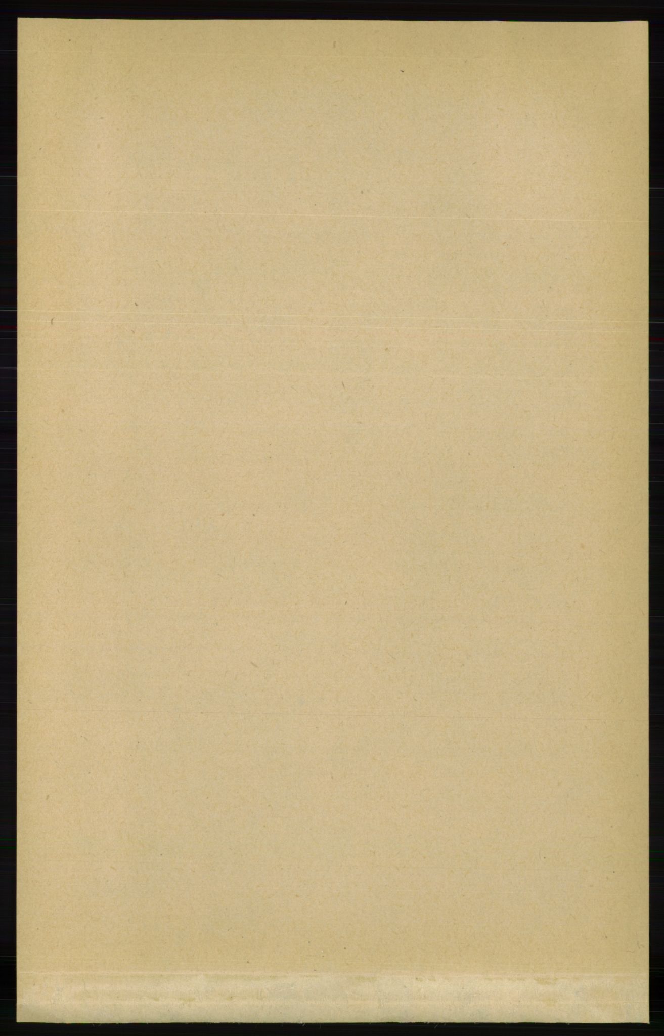 RA, Folketelling 1891 for 0940 Valle herred, 1891, s. 1965