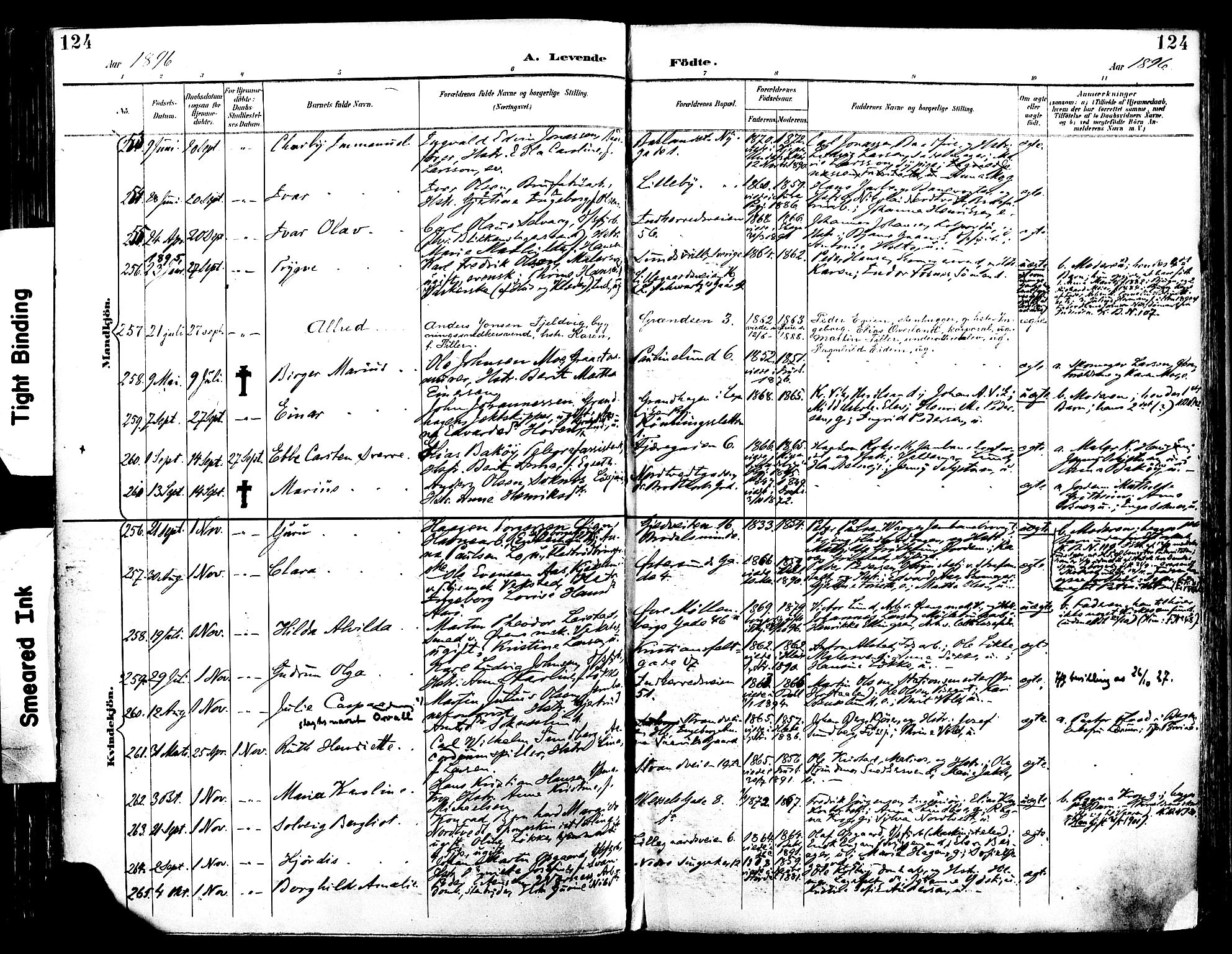 Ministerialprotokoller, klokkerbøker og fødselsregistre - Sør-Trøndelag, SAT/A-1456/604/L0197: Ministerialbok nr. 604A18, 1893-1900, s. 124