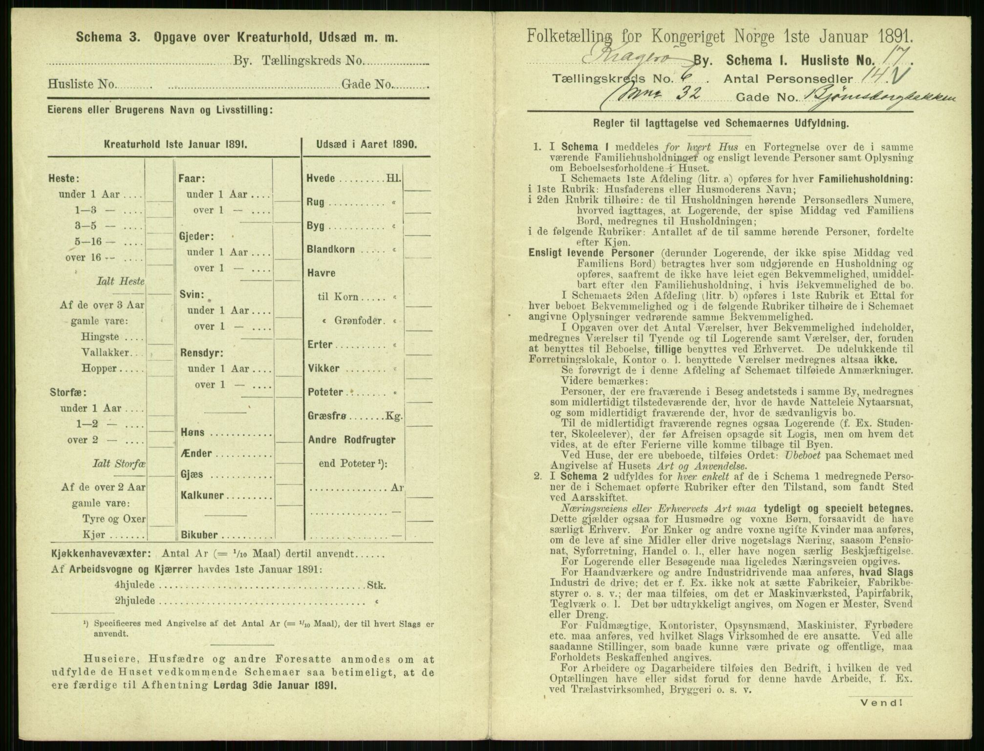 RA, Folketelling 1891 for 0801 Kragerø kjøpstad, 1891, s. 508