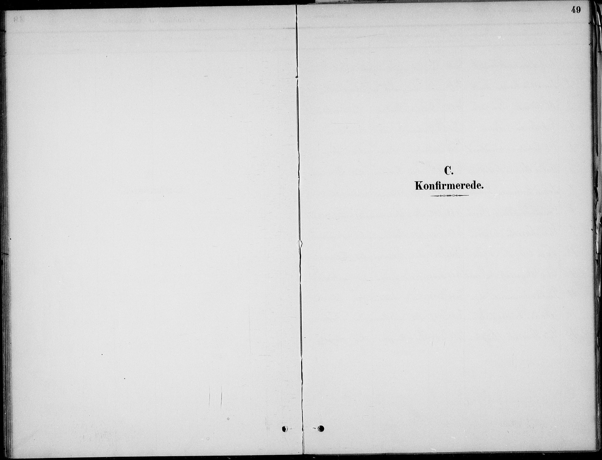 Ådal kirkebøker, AV/SAKO-A-248/F/Fa/L0004: Ministerialbok nr. I 4, 1884-1904, s. 49