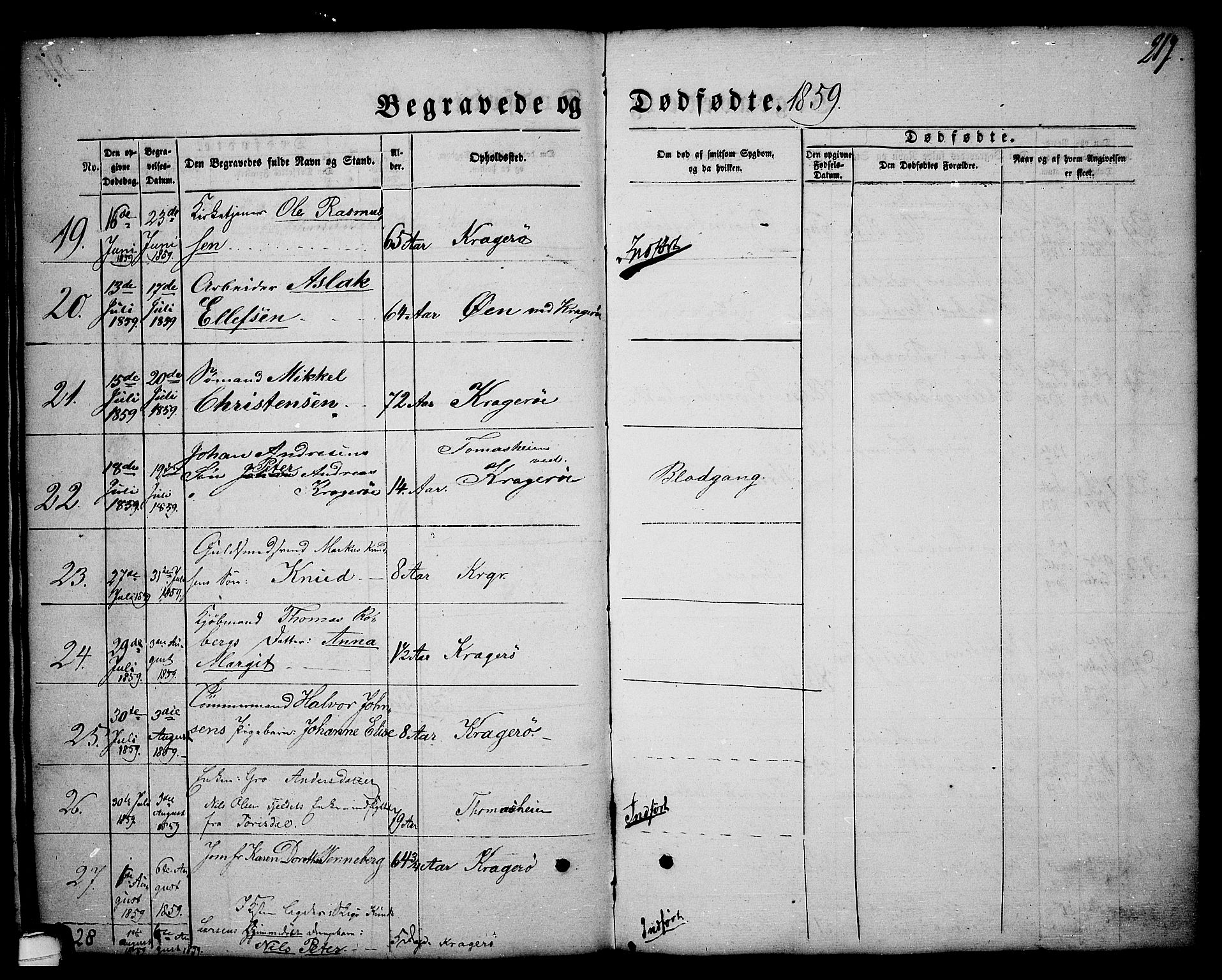 Kragerø kirkebøker, AV/SAKO-A-278/G/Ga/L0004: Klokkerbok nr. 4, 1853-1865, s. 217