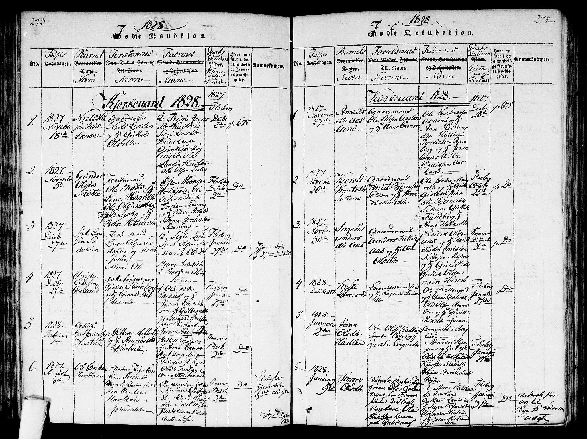 Flesberg kirkebøker, AV/SAKO-A-18/G/Ga/L0001: Klokkerbok nr. I 1, 1816-1834, s. 273-274