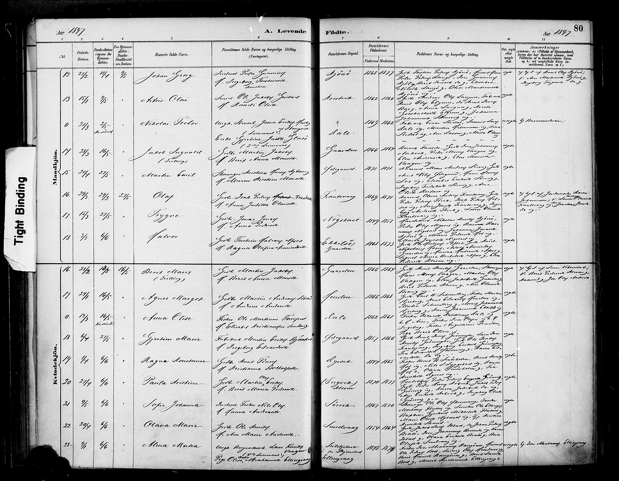 Ministerialprotokoller, klokkerbøker og fødselsregistre - Møre og Romsdal, AV/SAT-A-1454/569/L0819: Ministerialbok nr. 569A05, 1885-1899, s. 80