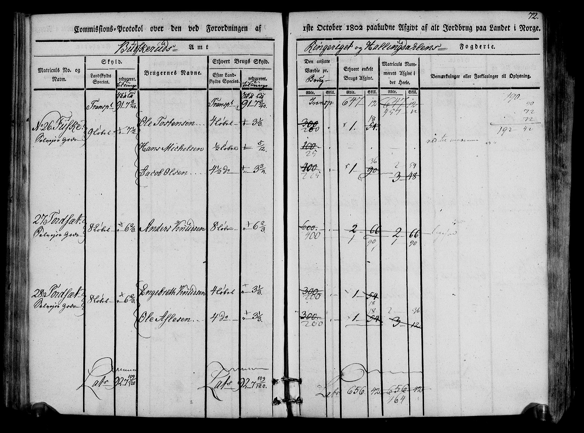 Rentekammeret inntil 1814, Realistisk ordnet avdeling, AV/RA-EA-4070/N/Ne/Nea/L0047: Ringerike og Hallingdal fogderi. Kommisjonsprotokoll for Nes prestegjeld, 1803, s. 75