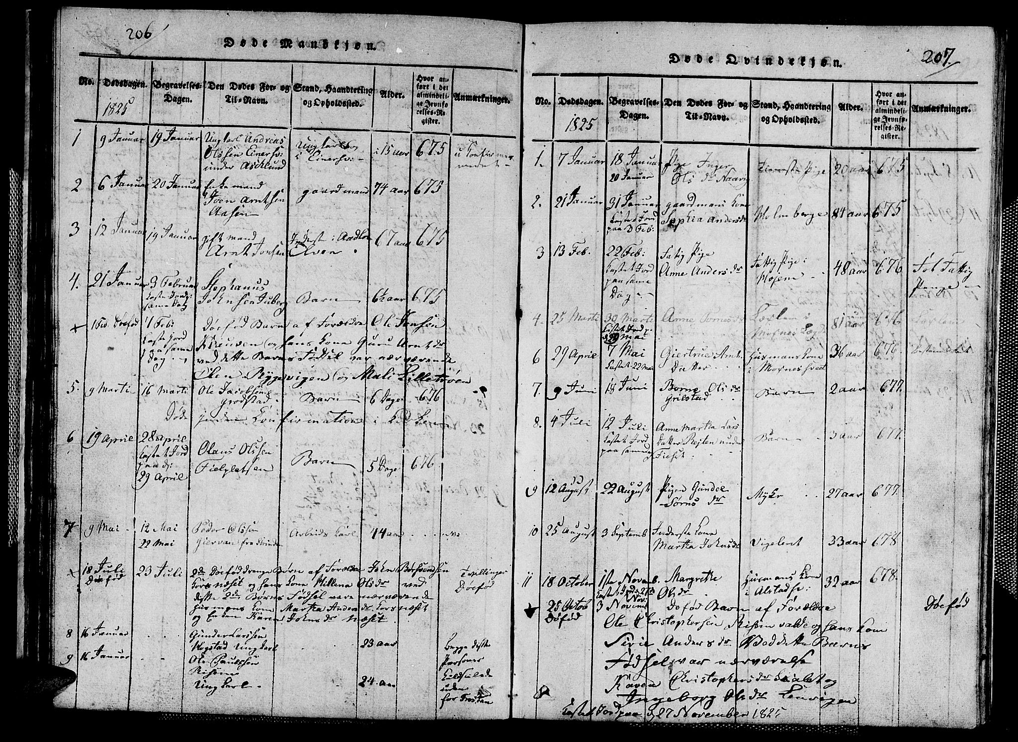 Ministerialprotokoller, klokkerbøker og fødselsregistre - Nord-Trøndelag, SAT/A-1458/713/L0124: Klokkerbok nr. 713C01, 1817-1827, s. 206-207