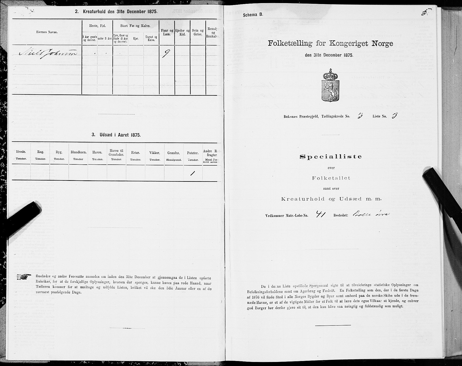 SAT, Folketelling 1875 for 1860P Buksnes prestegjeld, 1875, s. 2005