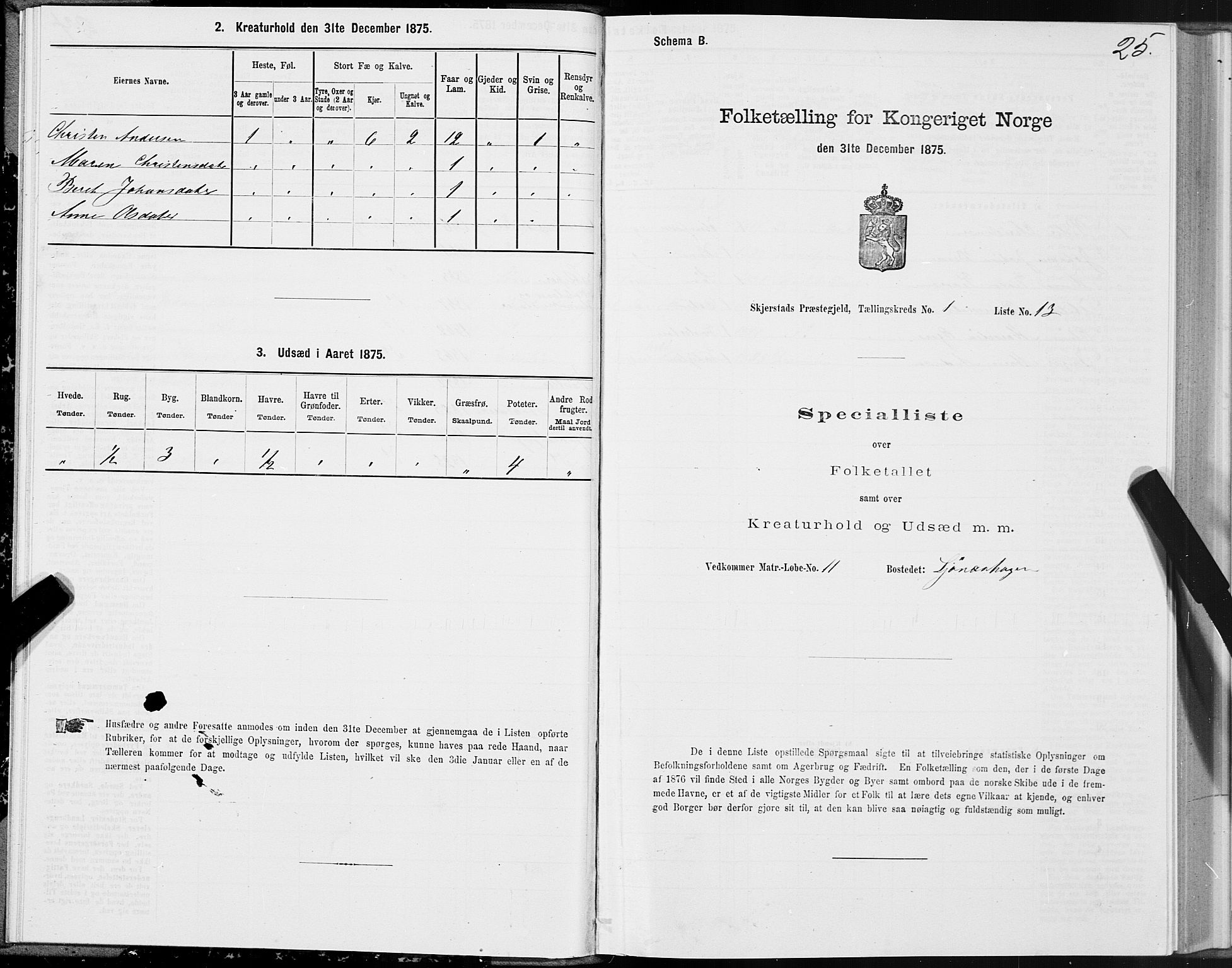 SAT, Folketelling 1875 for 1842P Skjerstad prestegjeld, 1875, s. 1025