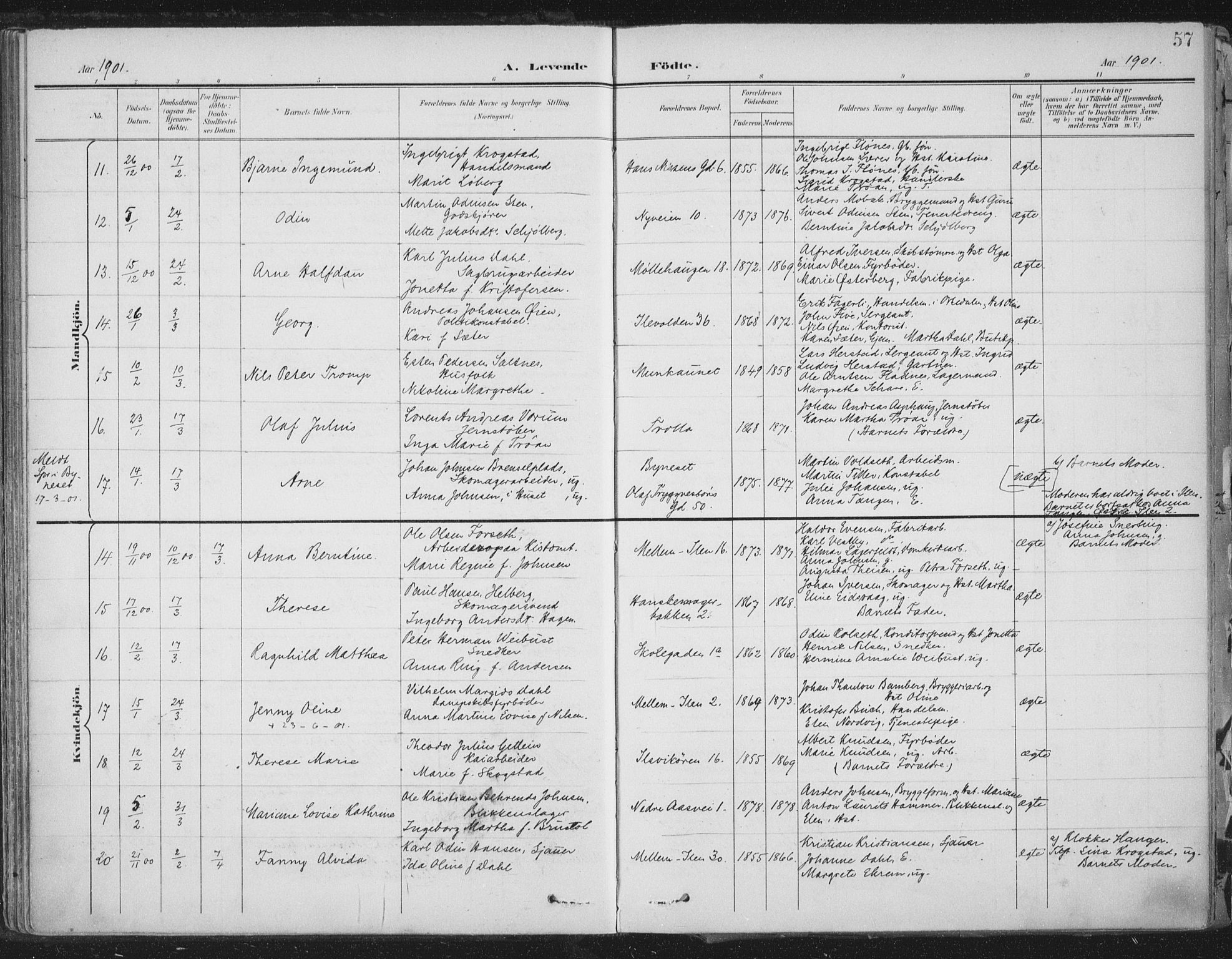 Ministerialprotokoller, klokkerbøker og fødselsregistre - Sør-Trøndelag, SAT/A-1456/603/L0167: Ministerialbok nr. 603A06, 1896-1932, s. 57