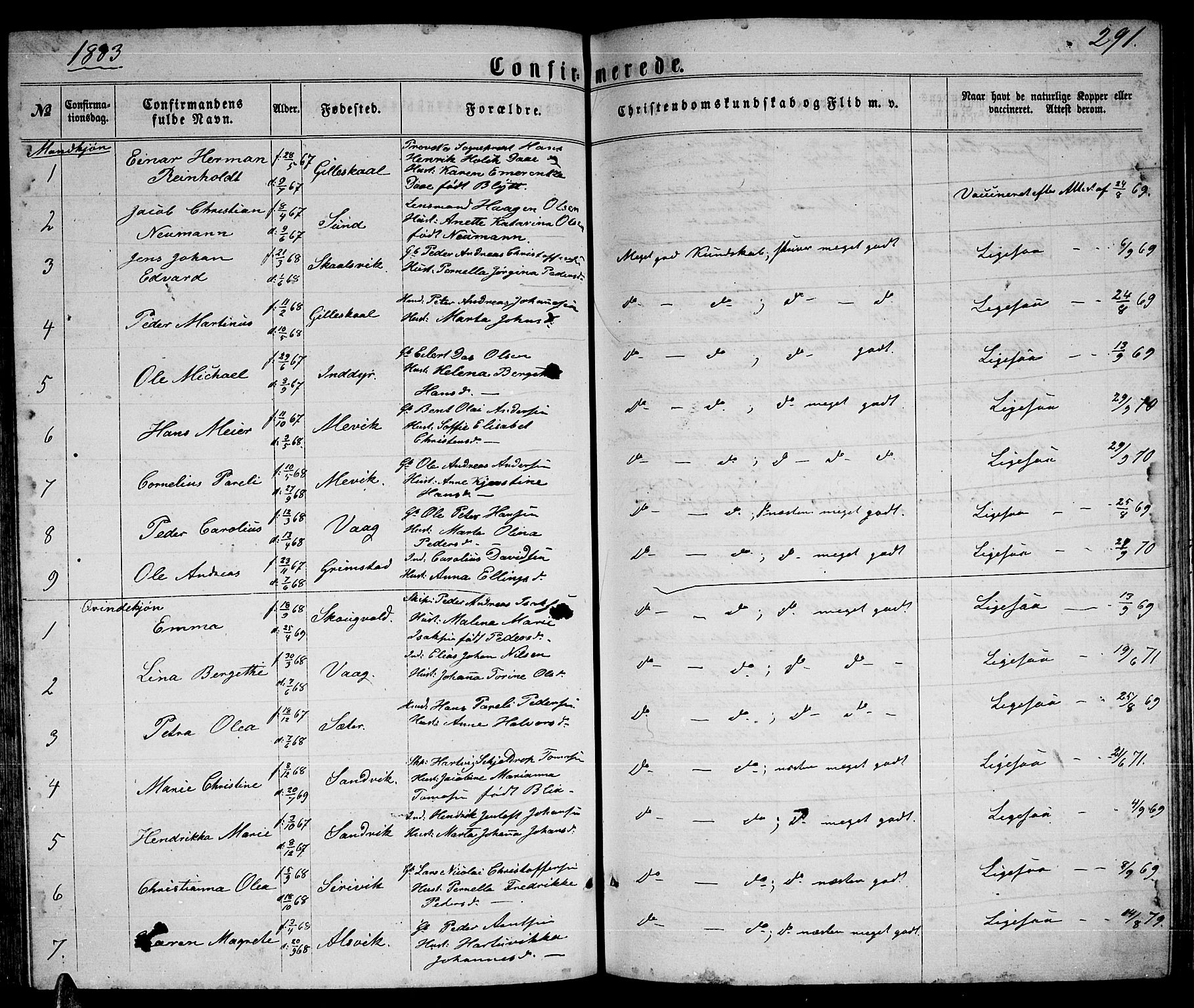 Ministerialprotokoller, klokkerbøker og fødselsregistre - Nordland, SAT/A-1459/805/L0107: Klokkerbok nr. 805C03, 1862-1885, s. 291