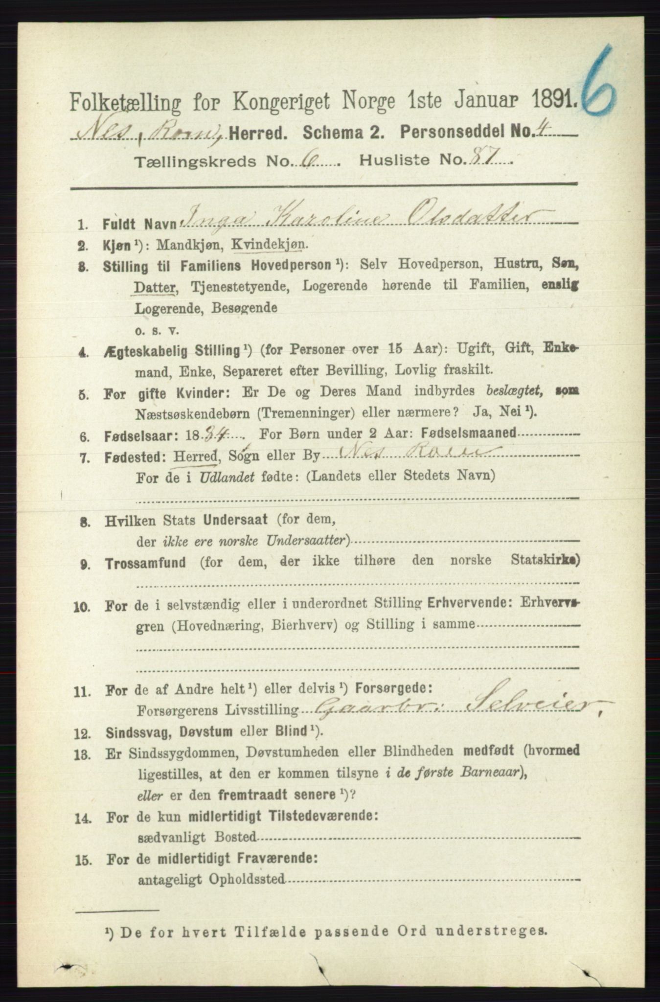 RA, Folketelling 1891 for 0236 Nes herred, 1891, s. 3919