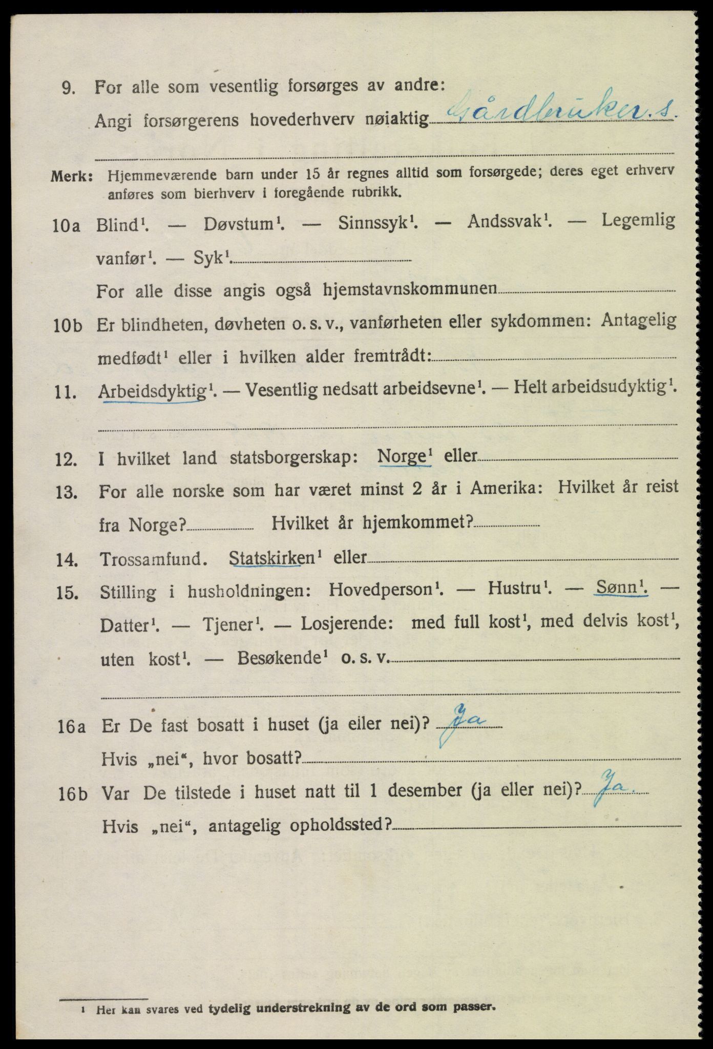 SAK, Folketelling 1920 for 0936 Hornnes herred, 1920, s. 2918