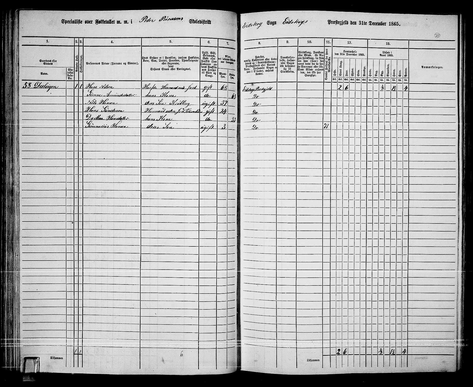 RA, Folketelling 1865 for 0420P Eidskog prestegjeld, 1865, s. 68