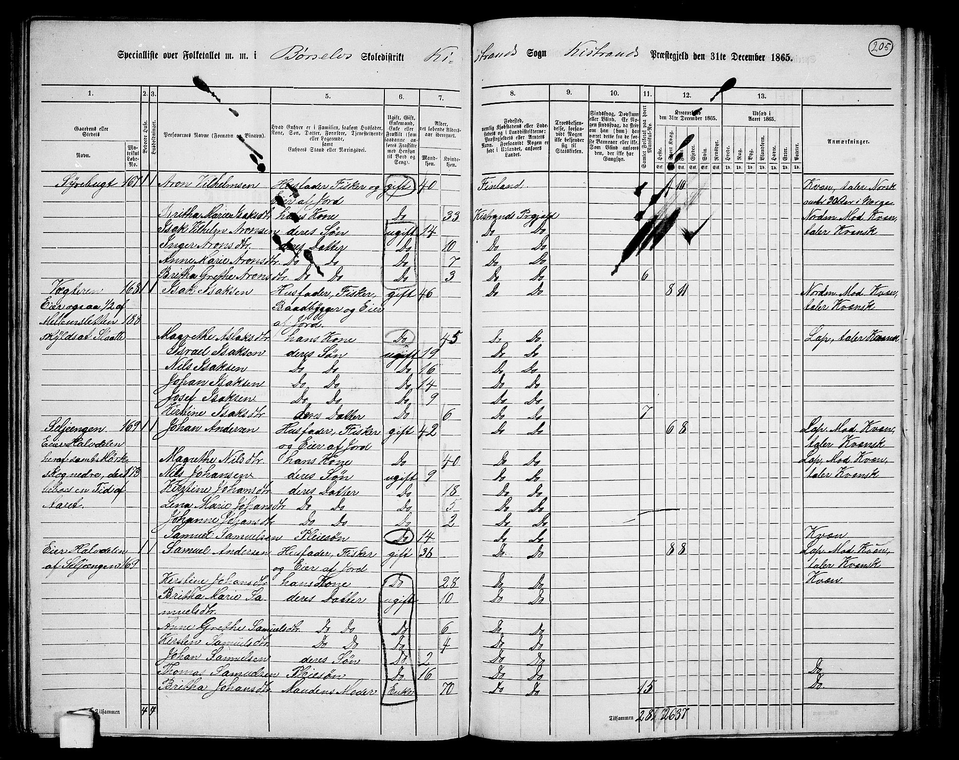 RA, Folketelling 1865 for 2020P Kistrand prestegjeld, 1865, s. 49