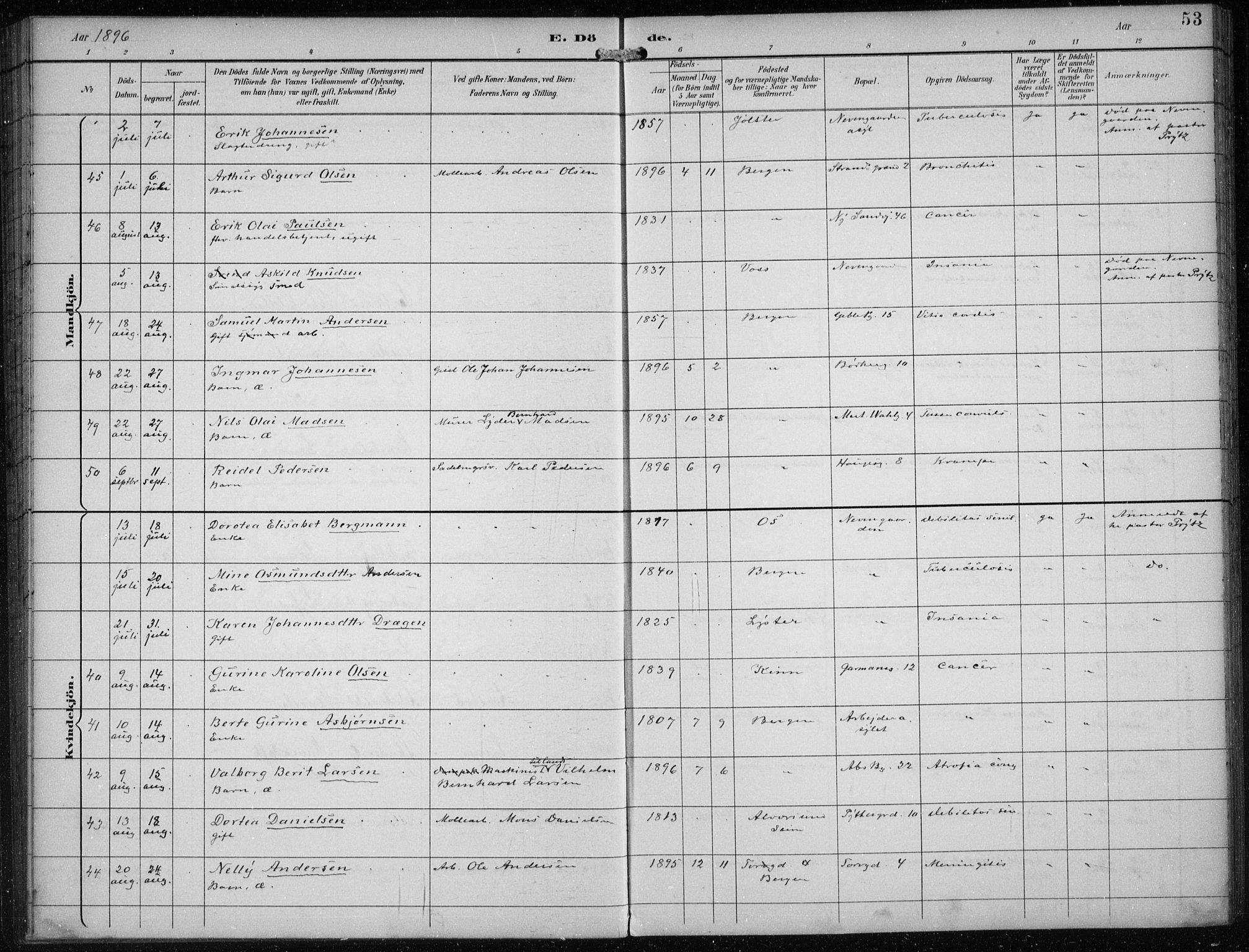 Sandviken Sokneprestembete, AV/SAB-A-77601/H/Ha/L0018: Ministerialbok nr. E 1, 1893-1905, s. 53