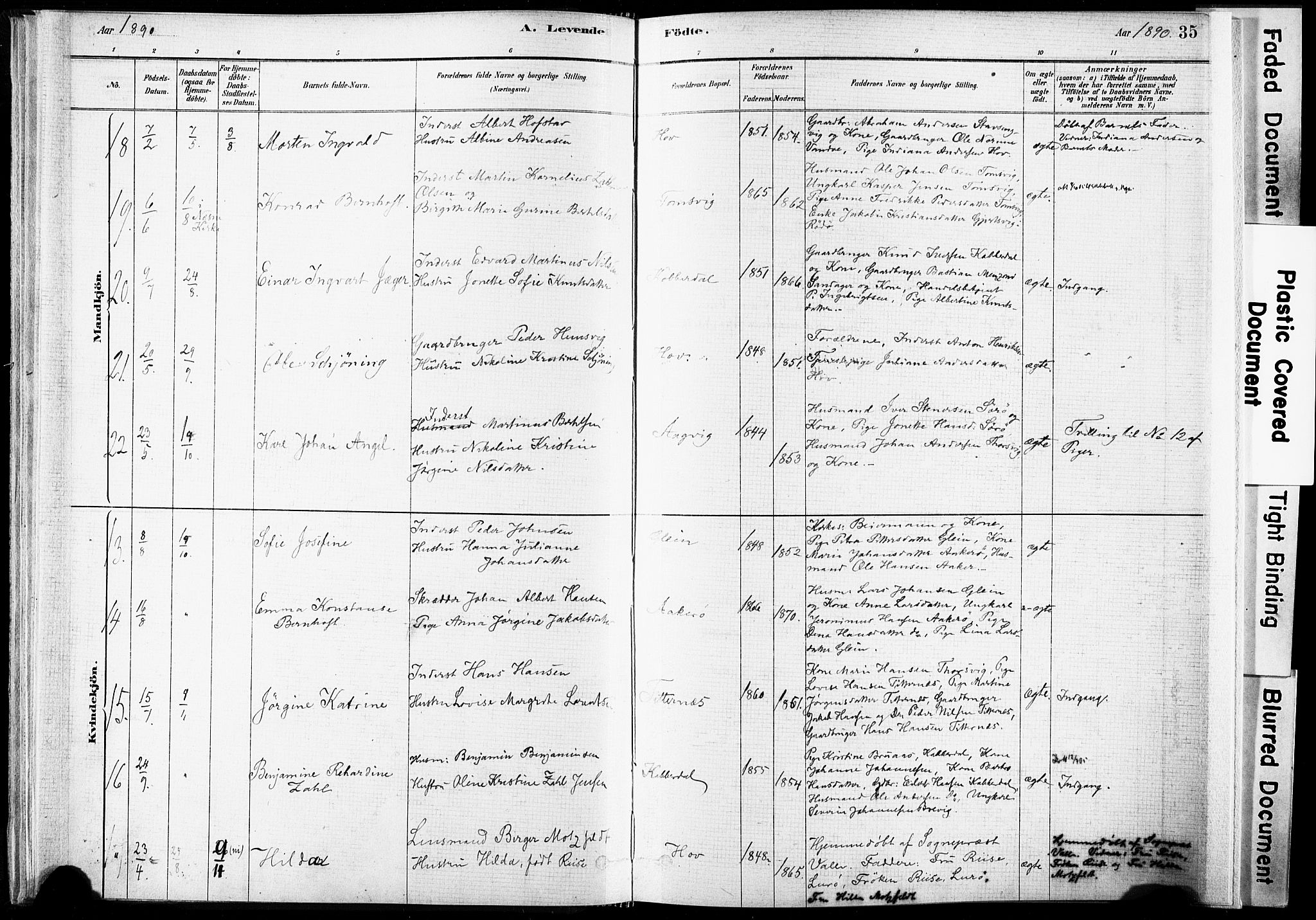 Ministerialprotokoller, klokkerbøker og fødselsregistre - Nordland, AV/SAT-A-1459/835/L0525: Ministerialbok nr. 835A03I, 1881-1910, s. 35