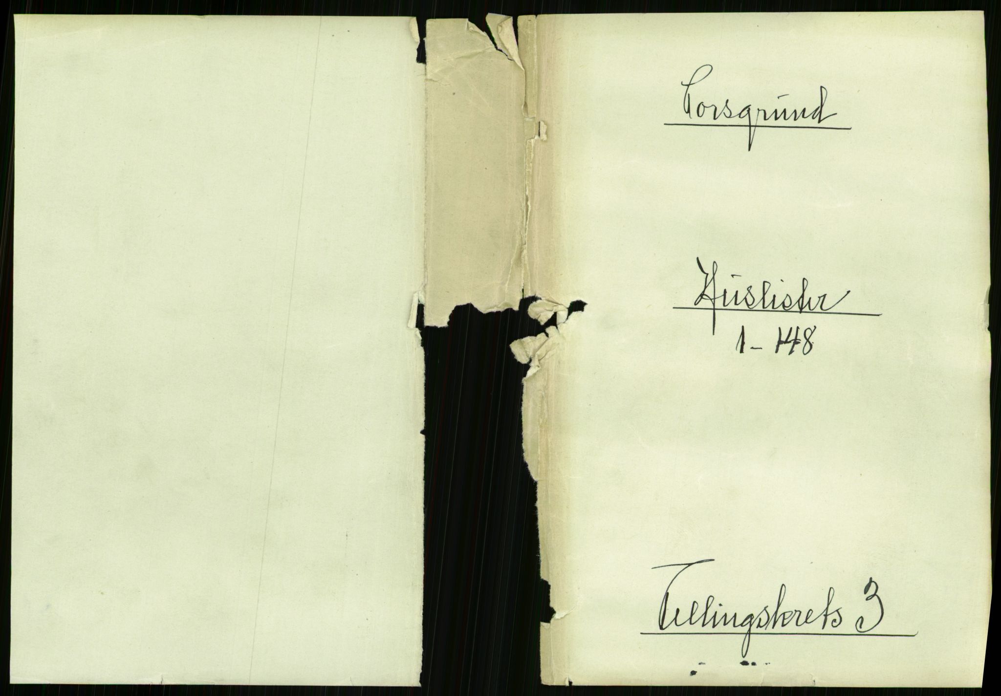 RA, Folketelling 1891 for 0805 Porsgrunn kjøpstad, 1891, s. 481