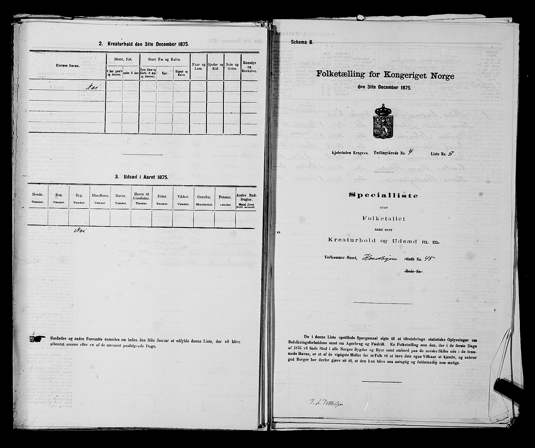 SAKO, Folketelling 1875 for 0801P Kragerø prestegjeld, 1875, s. 99