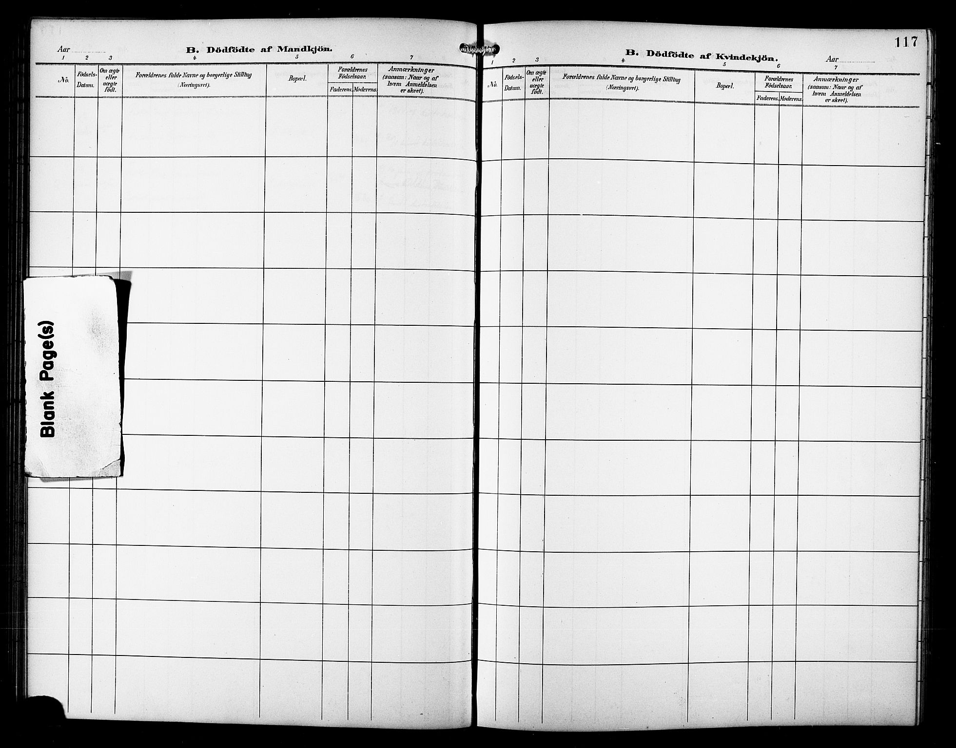 Skjervøy sokneprestkontor, AV/SATØ-S-1300/H/Ha/Hab/L0008klokker: Klokkerbok nr. 8, 1900-1910, s. 117