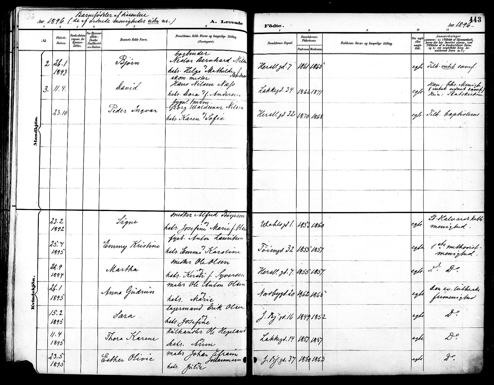 Grønland prestekontor Kirkebøker, AV/SAO-A-10848/F/Fa/L0012: Ministerialbok nr. 12, 1893-1900, s. 443