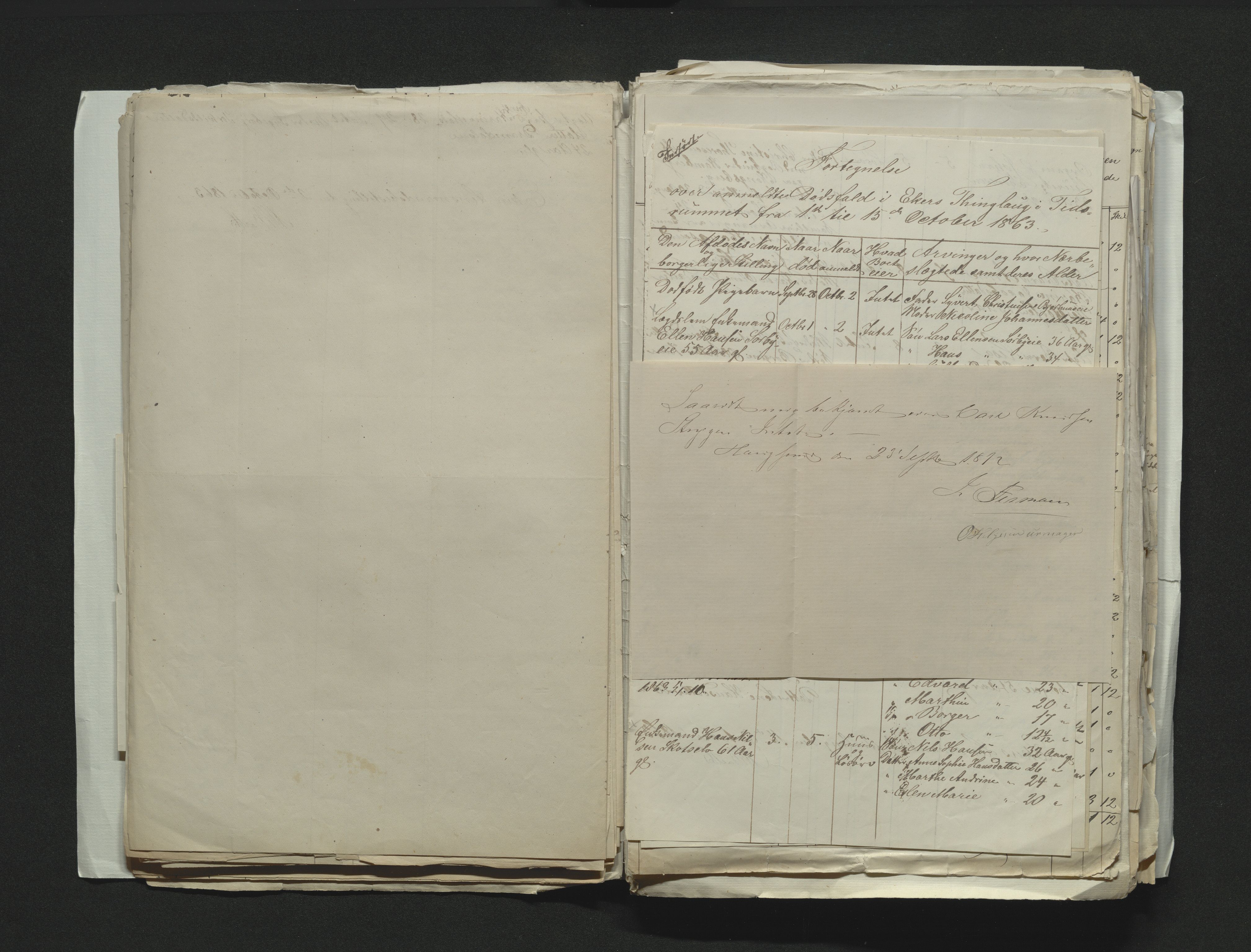 Eiker, Modum og Sigdal sorenskriveri, AV/SAKO-A-123/H/Ha/Hab/L0011: Dødsfallsmeldinger, 1862-1865, s. 206