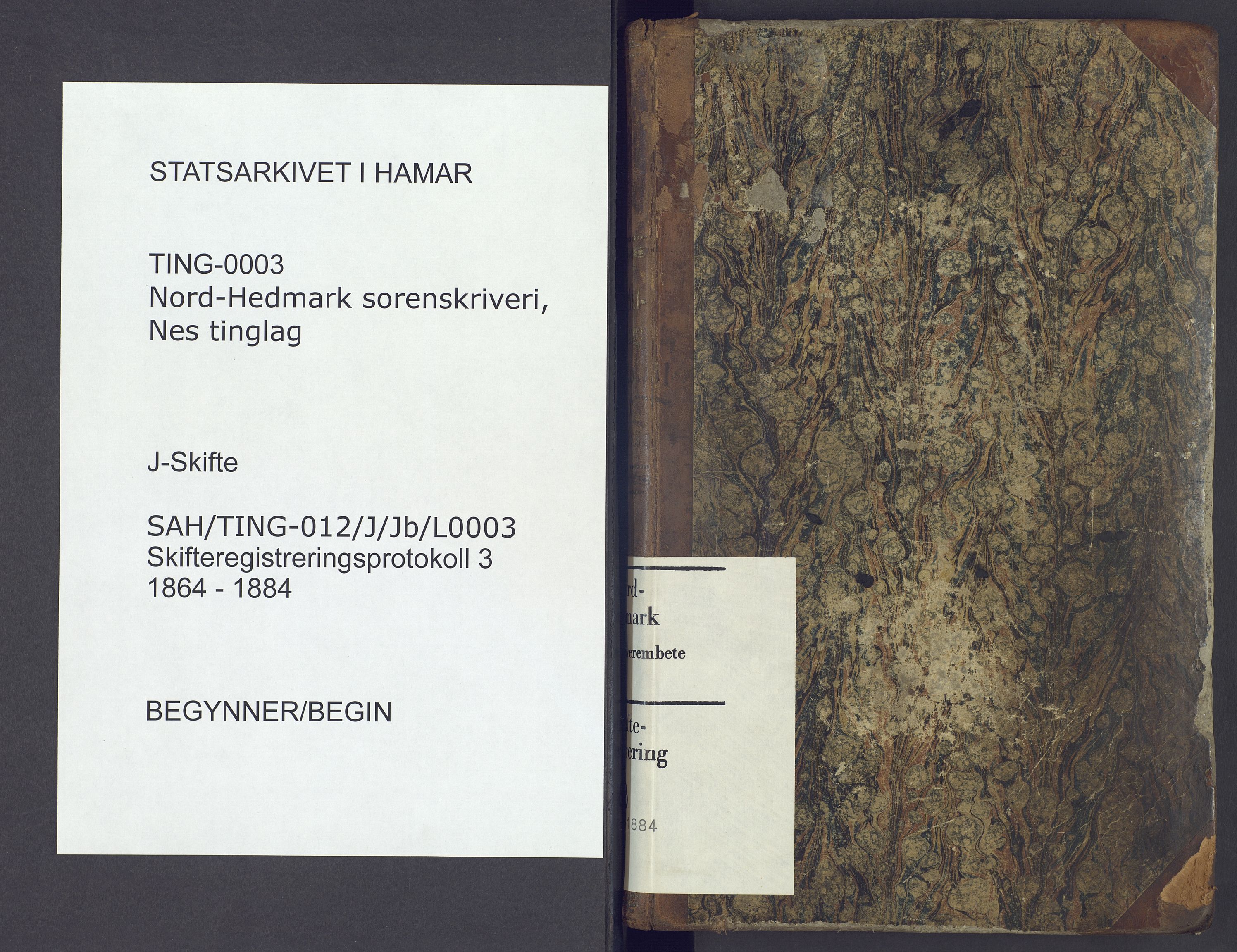 Nord-Hedmark sorenskriveri, SAH/TING-012/J/Jb/L0003: Skifteregistreringsprotokoll - Nes, 1864-1884