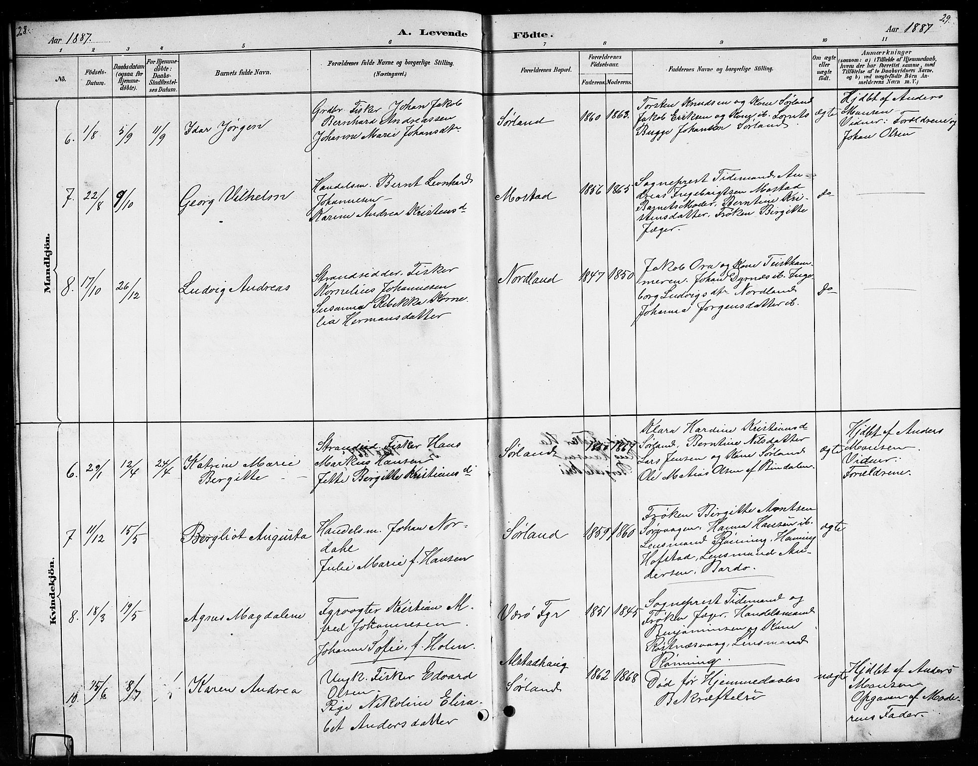 Ministerialprotokoller, klokkerbøker og fødselsregistre - Nordland, AV/SAT-A-1459/807/L0123: Klokkerbok nr. 807C01, 1884-1910, s. 28-29