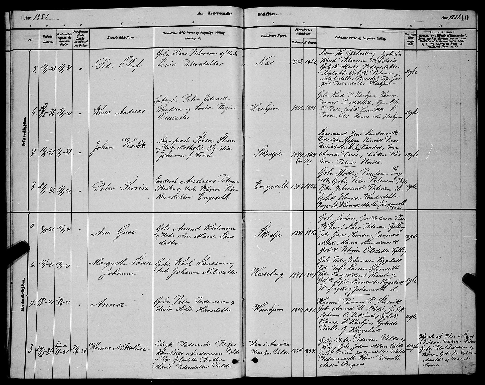 Ministerialprotokoller, klokkerbøker og fødselsregistre - Møre og Romsdal, AV/SAT-A-1454/524/L0365: Klokkerbok nr. 524C06, 1880-1899, s. 10