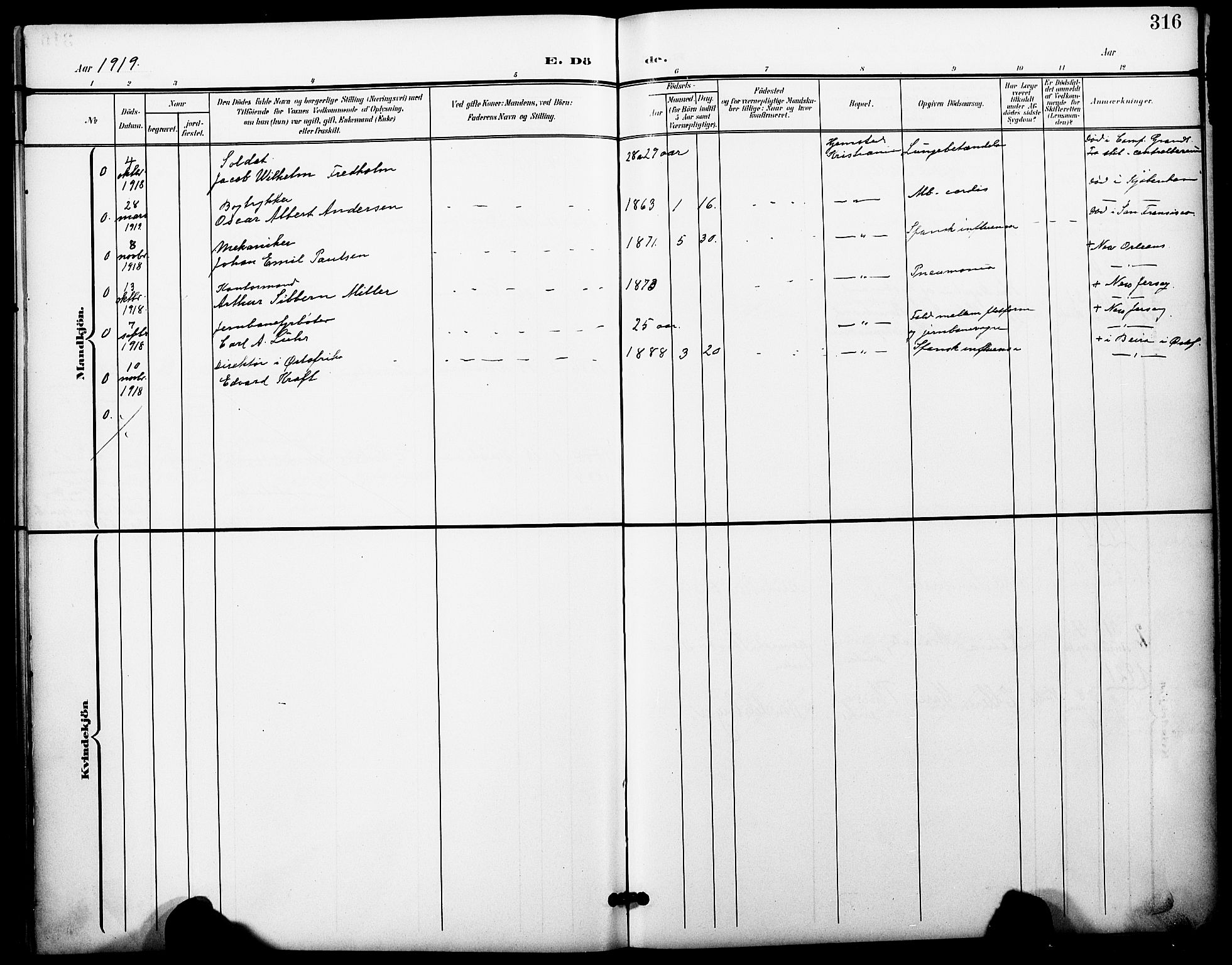 Oslo domkirke Kirkebøker, SAO/A-10752/F/Fa/L0036: Ministerialbok nr. 36, 1901-1919, s. 316
