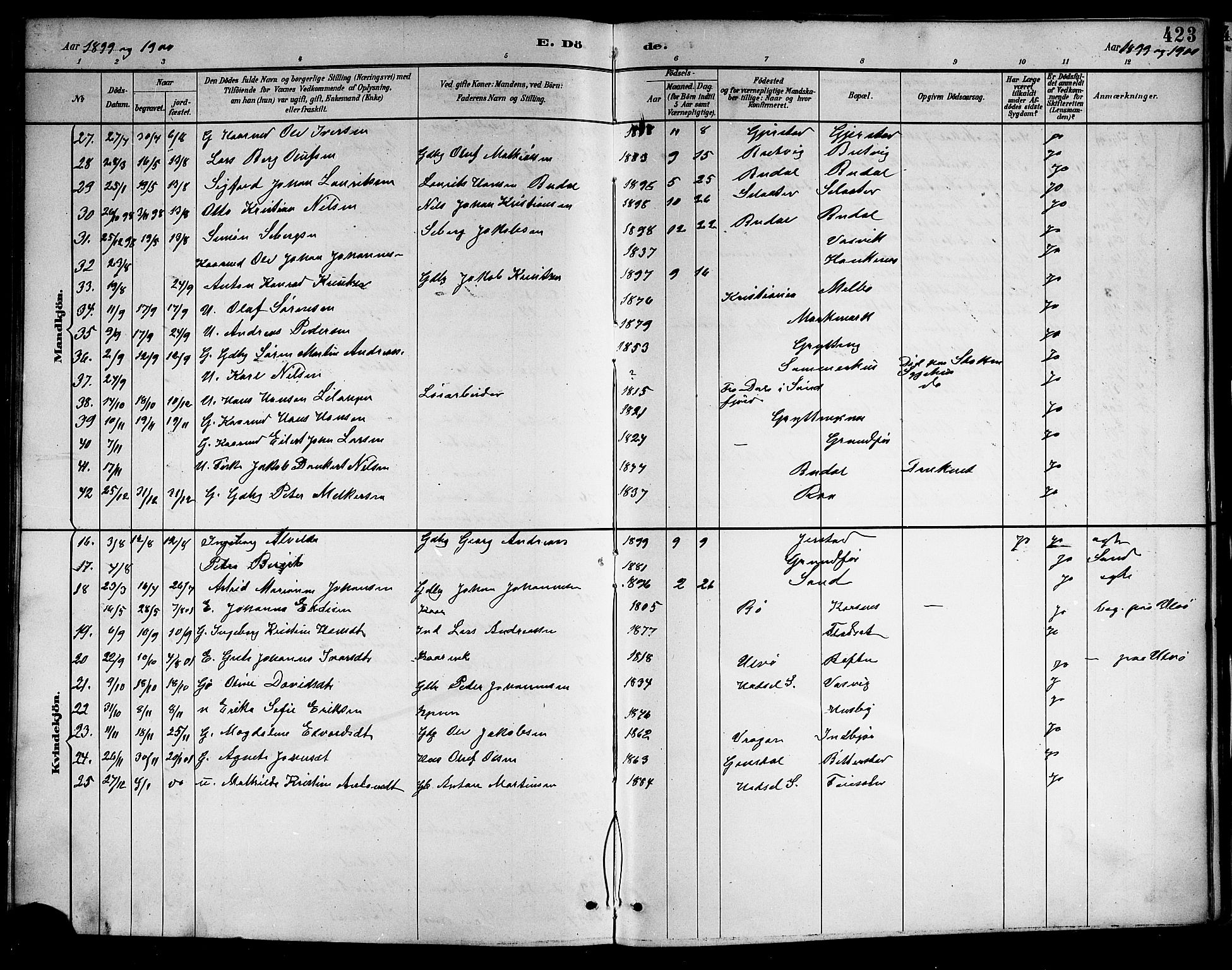 Ministerialprotokoller, klokkerbøker og fødselsregistre - Nordland, SAT/A-1459/888/L1268: Klokkerbok nr. 888C06, 1891-1908, s. 423