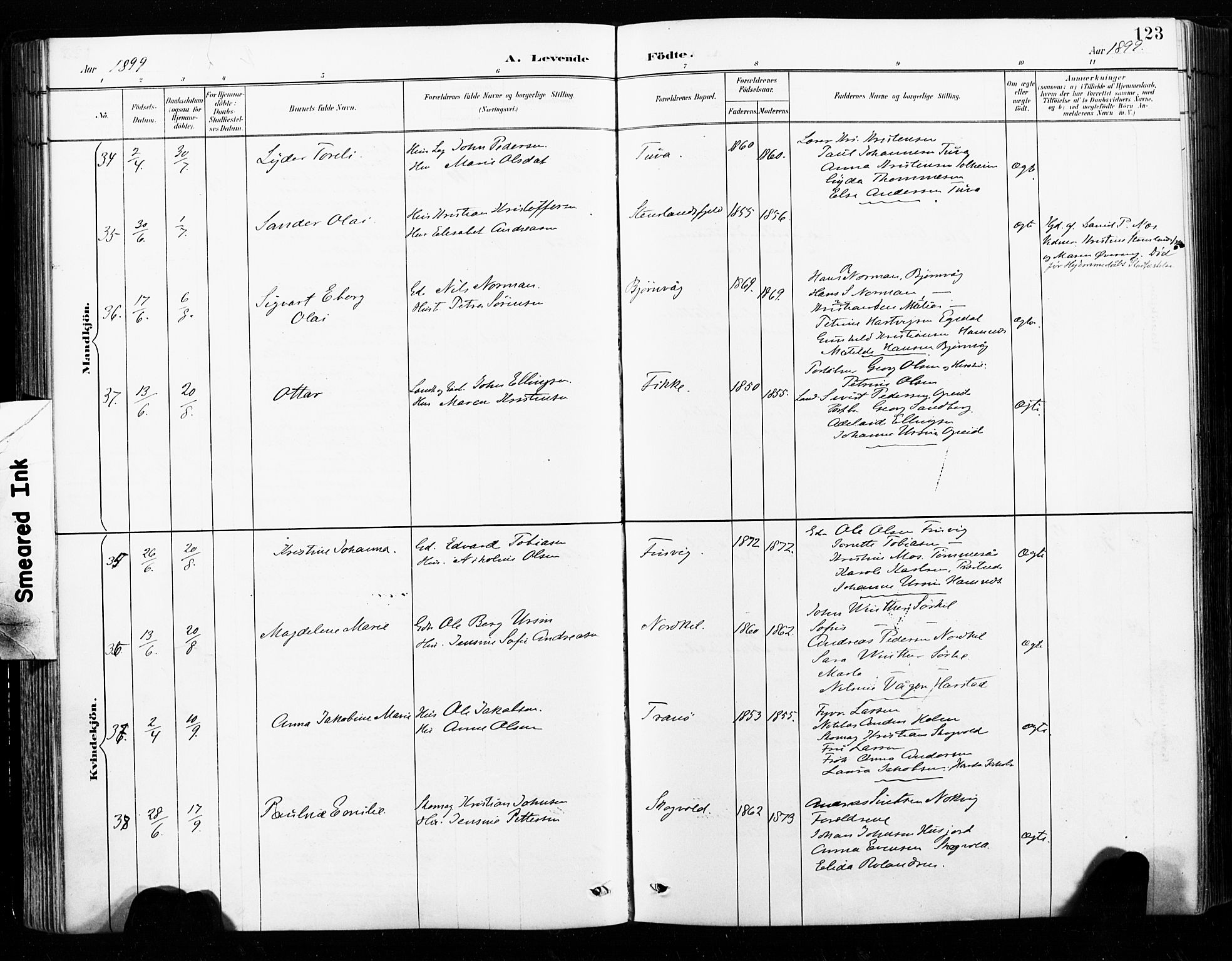 Ministerialprotokoller, klokkerbøker og fødselsregistre - Nordland, SAT/A-1459/859/L0847: Ministerialbok nr. 859A07, 1890-1899, s. 123