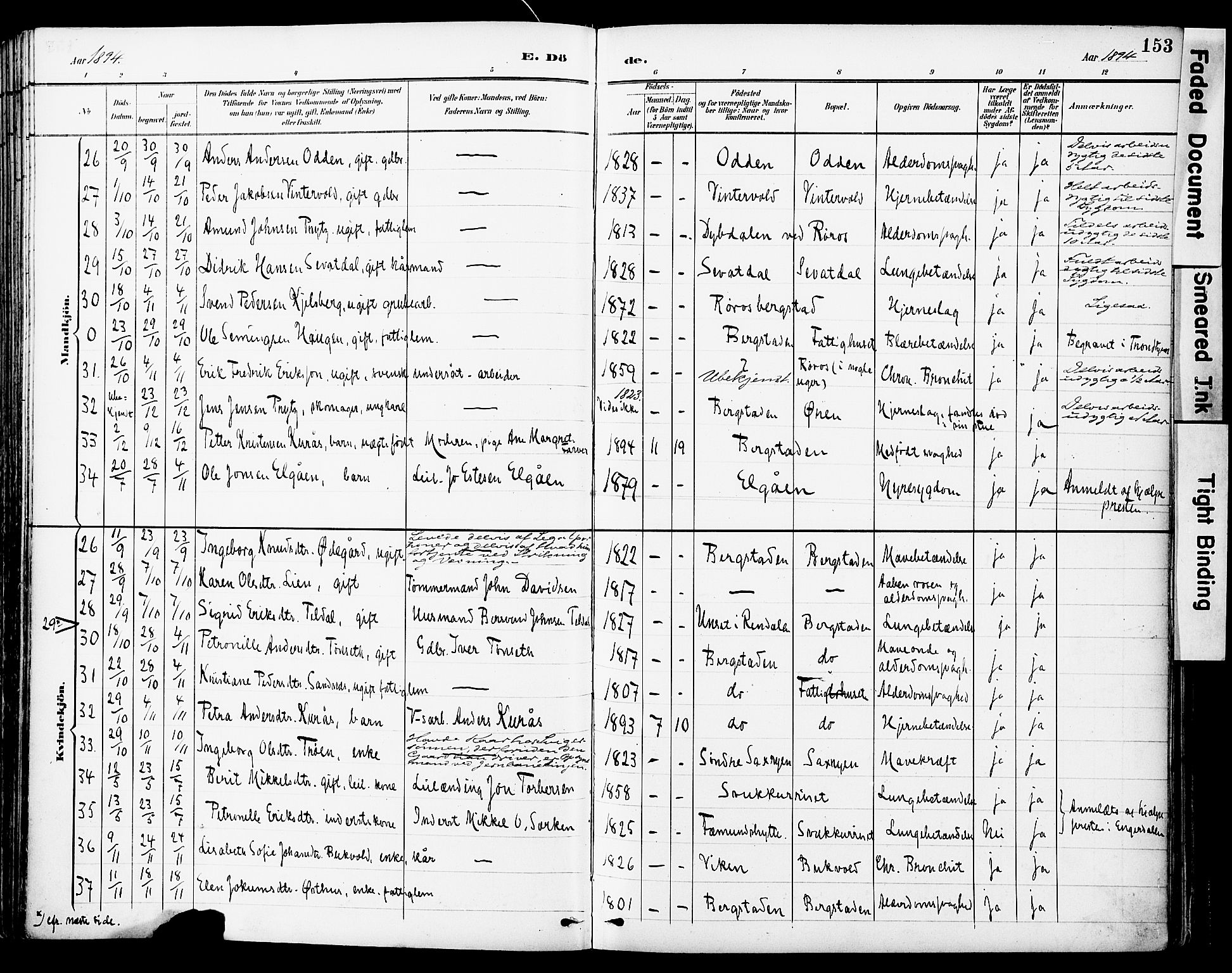 Ministerialprotokoller, klokkerbøker og fødselsregistre - Sør-Trøndelag, SAT/A-1456/681/L0935: Ministerialbok nr. 681A13, 1890-1898, s. 153