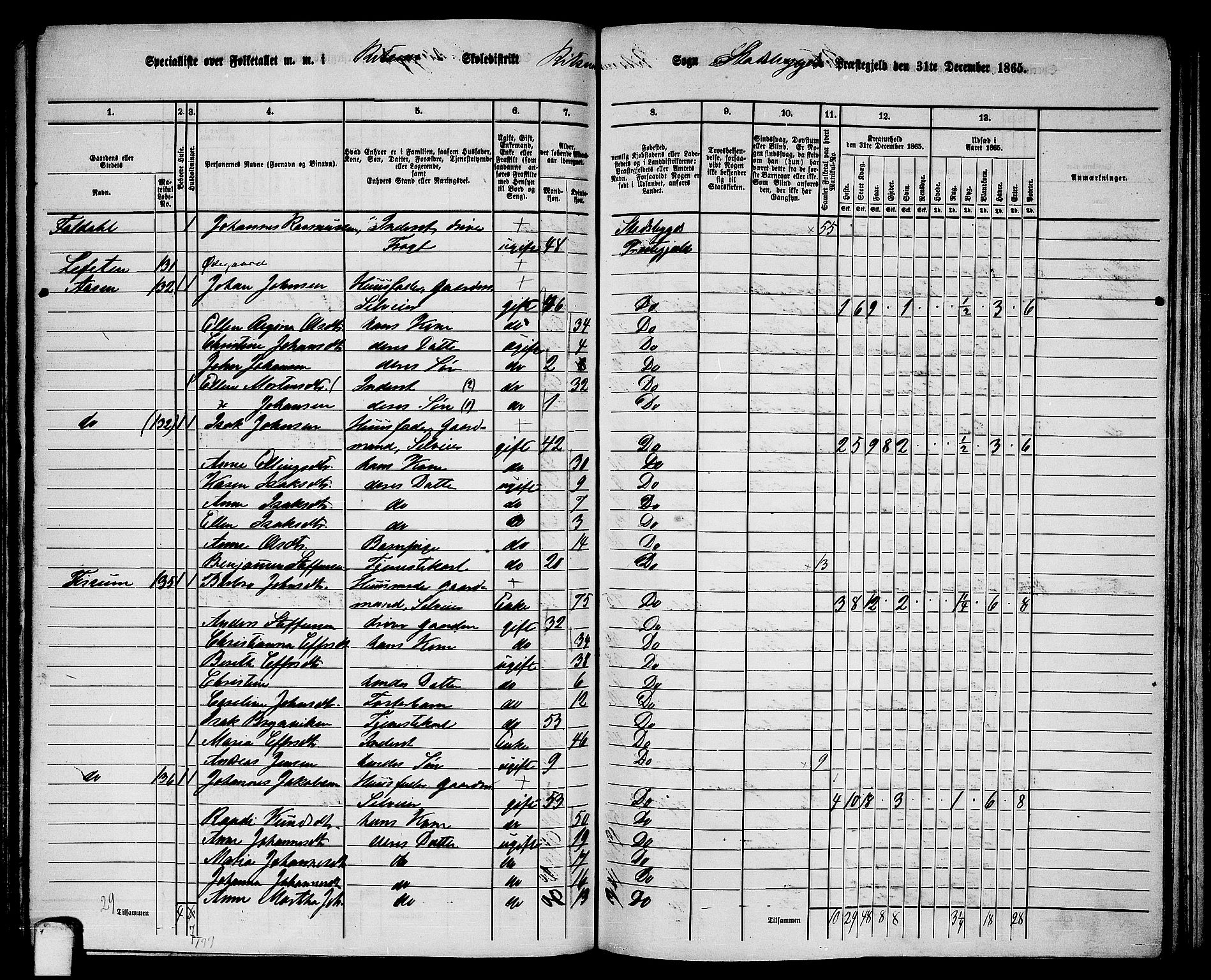 RA, Folketelling 1865 for 1625P Stadsbygd prestegjeld, 1865, s. 123