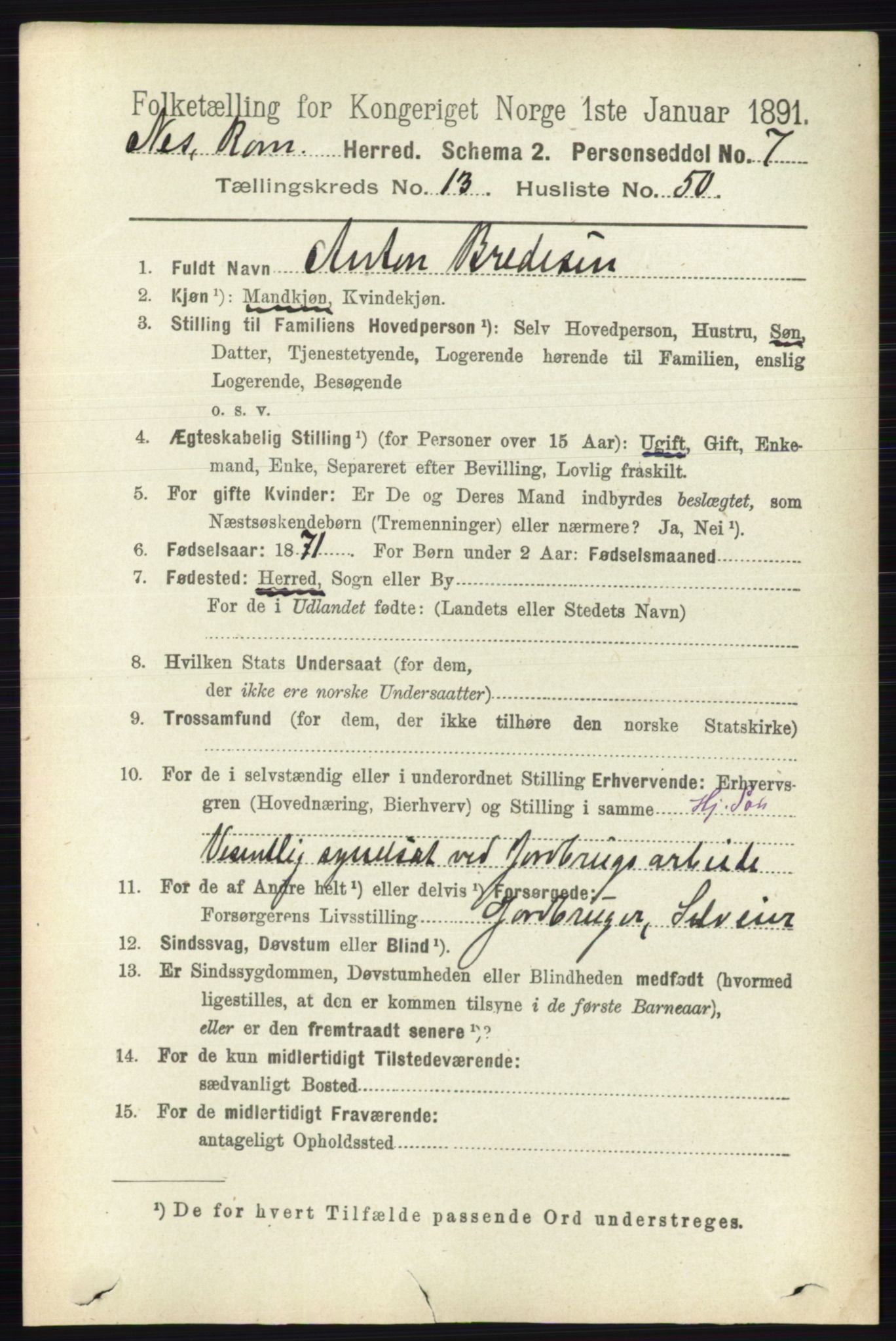RA, Folketelling 1891 for 0236 Nes herred, 1891, s. 8118