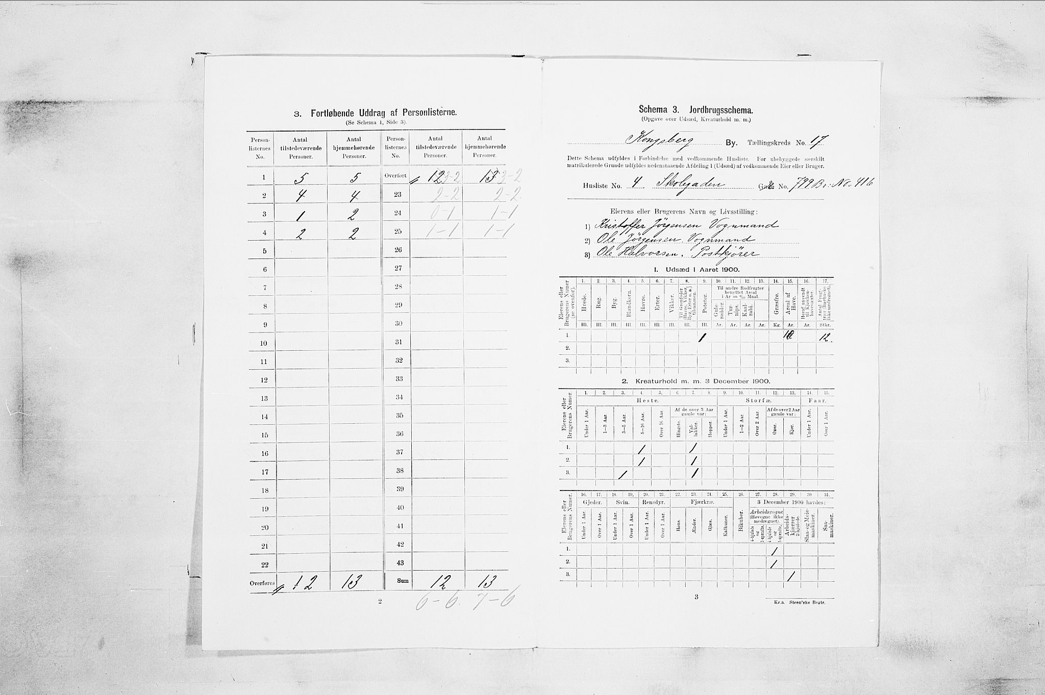 RA, Folketelling 1900 for 0604 Kongsberg kjøpstad, 1900, s. 3345