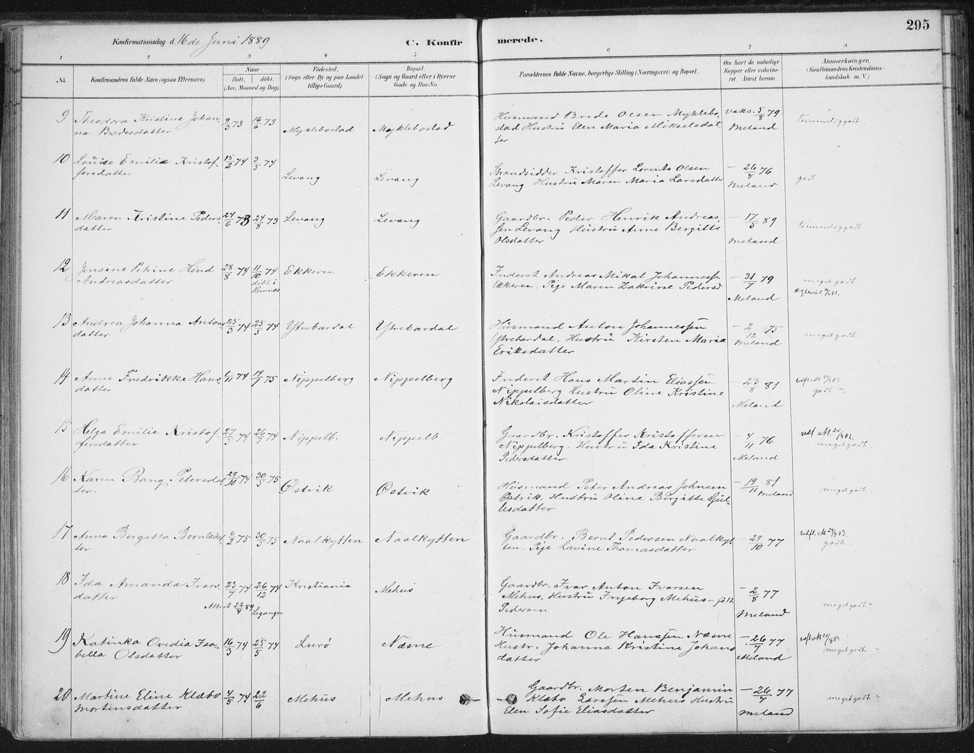 Ministerialprotokoller, klokkerbøker og fødselsregistre - Nordland, AV/SAT-A-1459/838/L0552: Ministerialbok nr. 838A10, 1880-1910, s. 295