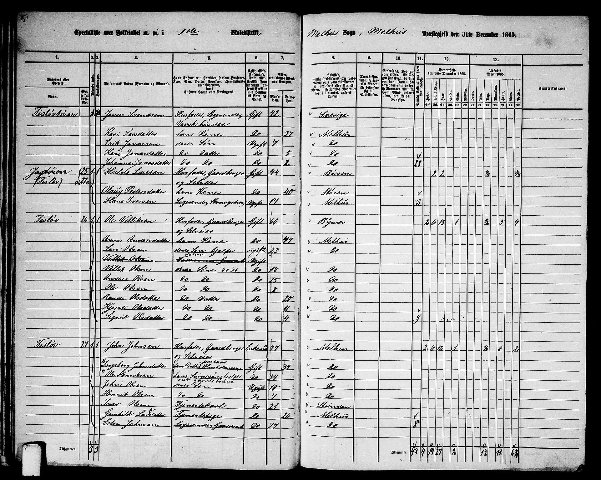 RA, Folketelling 1865 for 1653P Melhus prestegjeld, 1865, s. 31