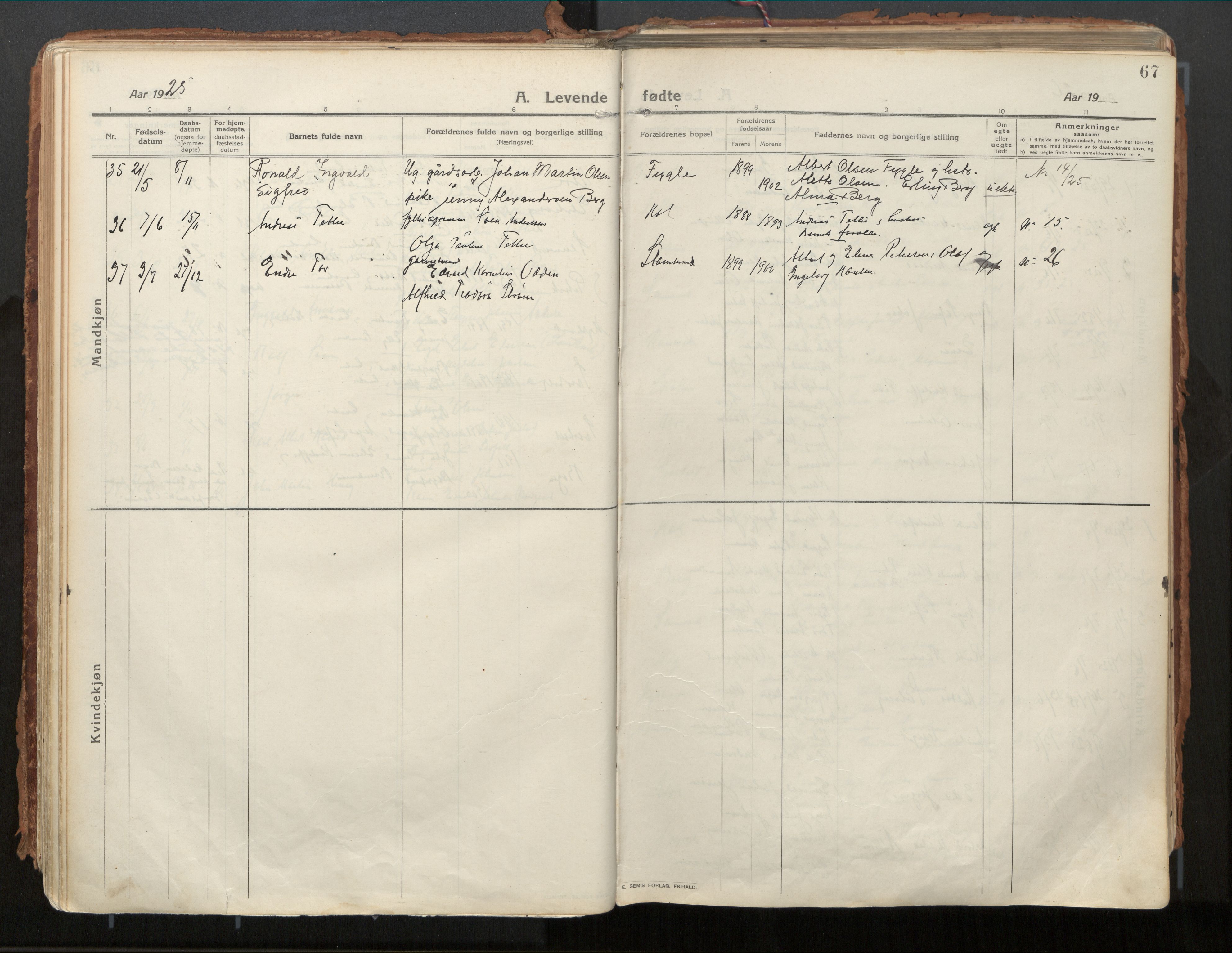 Ministerialprotokoller, klokkerbøker og fødselsregistre - Nordland, AV/SAT-A-1459/882/L1181: Ministerialbok nr. 882A03, 1913-1937, s. 67