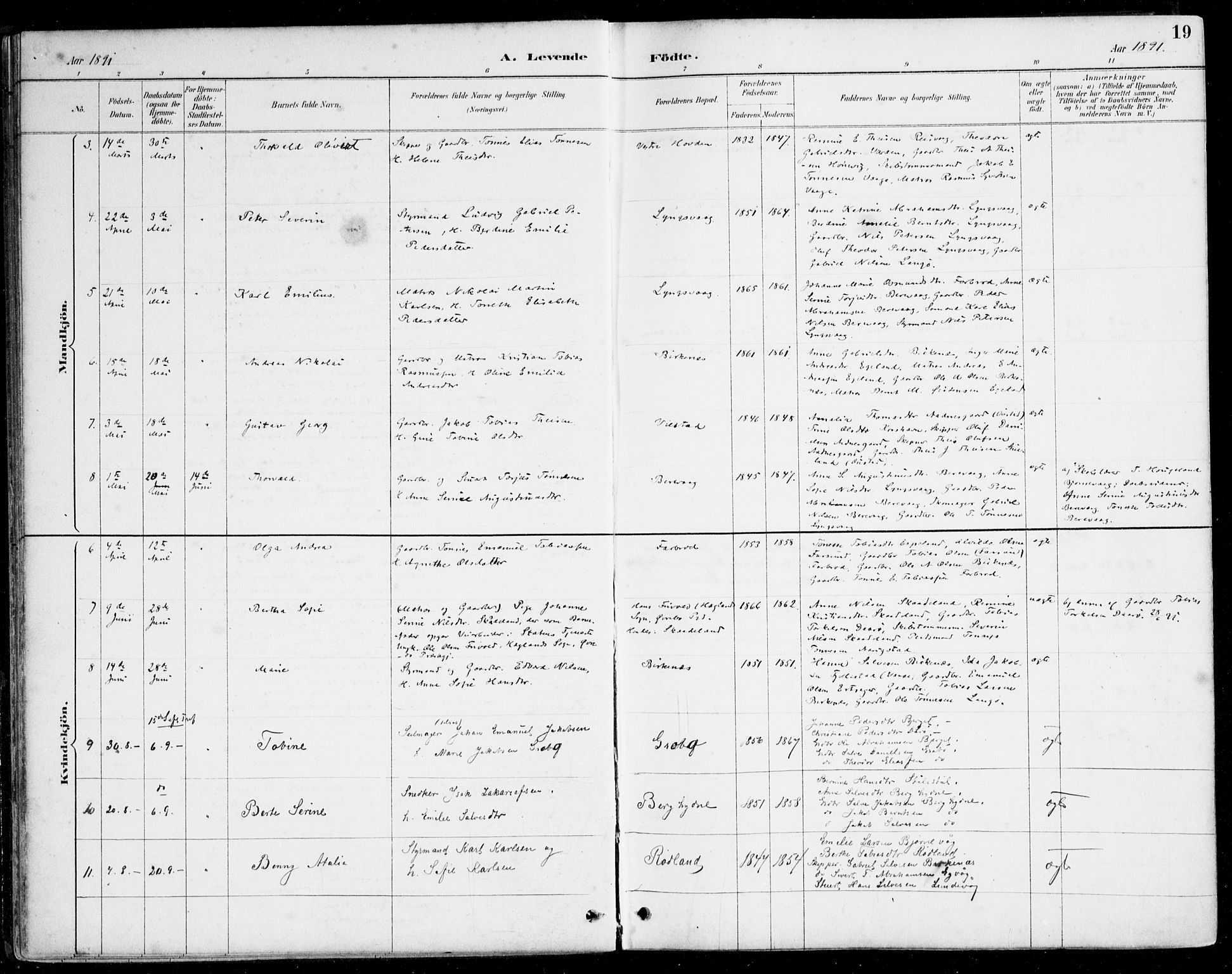 Herad sokneprestkontor, SAK/1111-0018/F/Fa/Fab/L0005: Ministerialbok nr. A 5, 1886-1913, s. 19