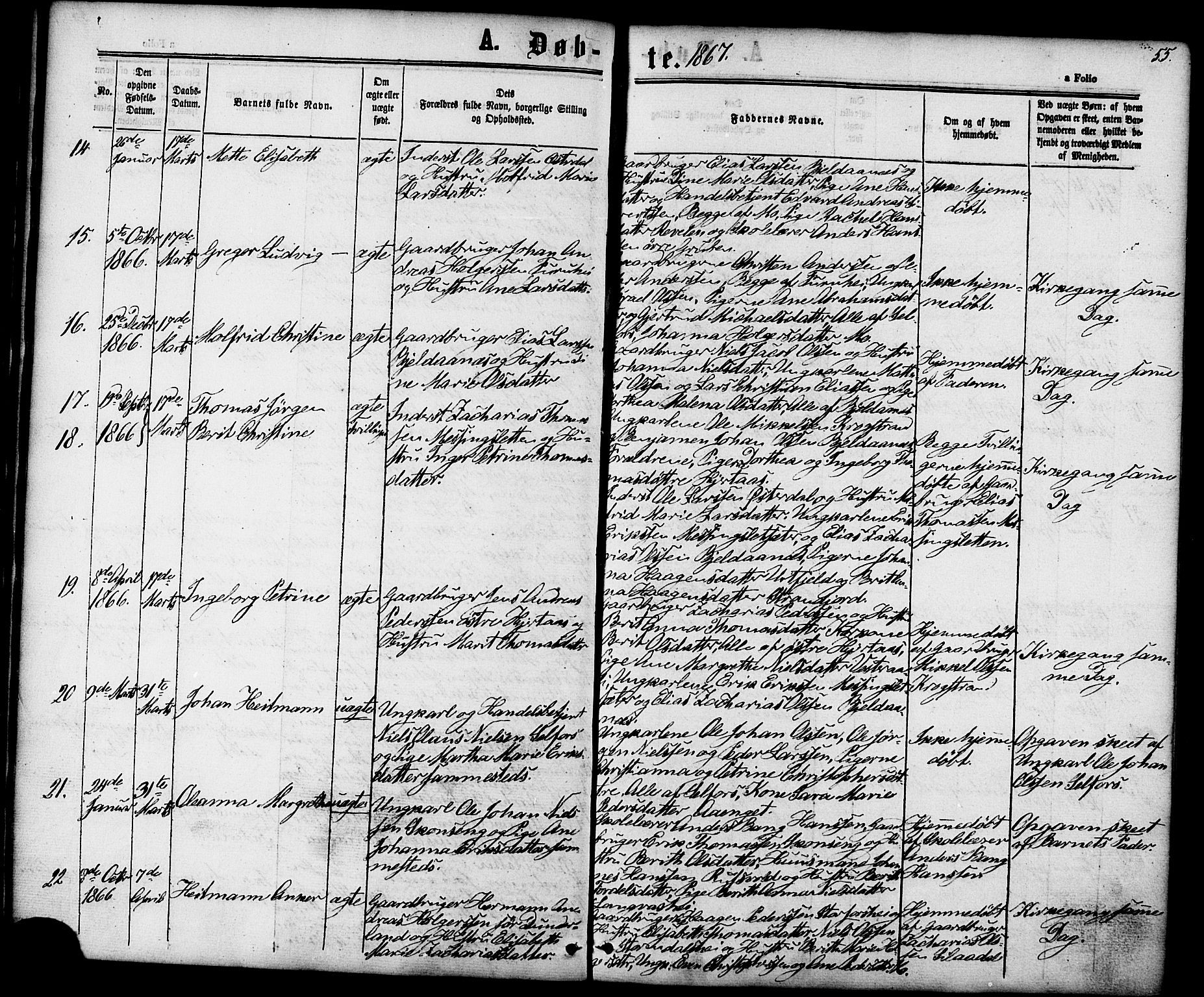 Ministerialprotokoller, klokkerbøker og fødselsregistre - Nordland, AV/SAT-A-1459/827/L0393: Ministerialbok nr. 827A05, 1863-1883, s. 55