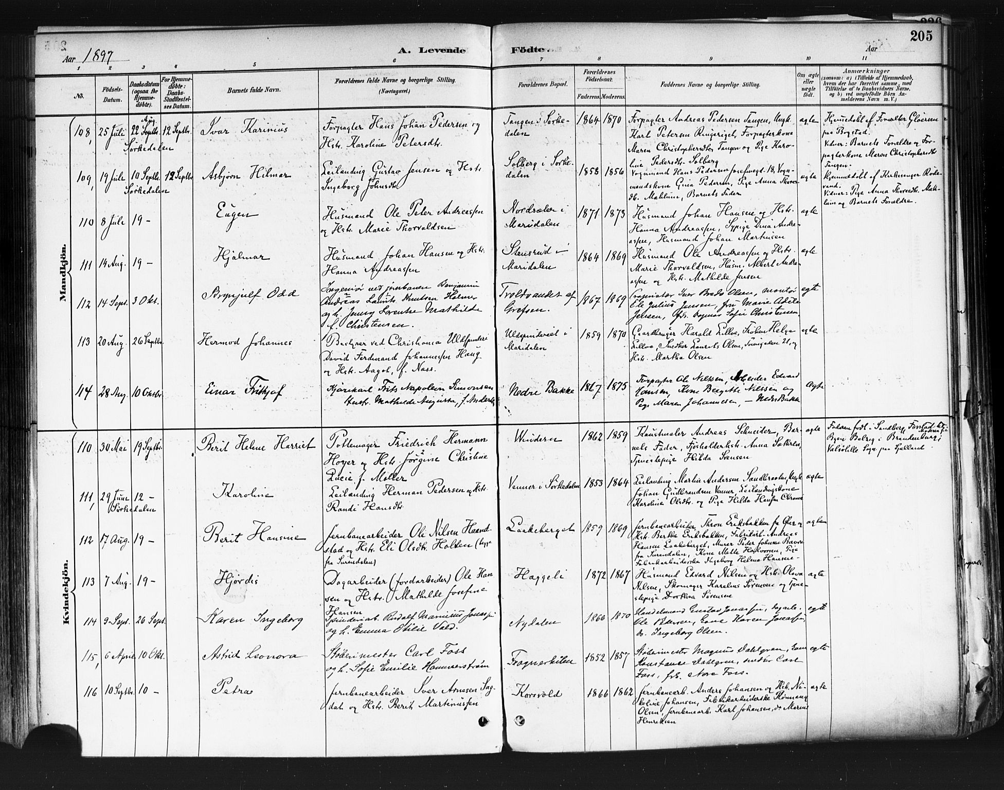 Vestre Aker prestekontor Kirkebøker, AV/SAO-A-10025/F/Fa/L0010: Ministerialbok nr. 10, 1886-1903, s. 205