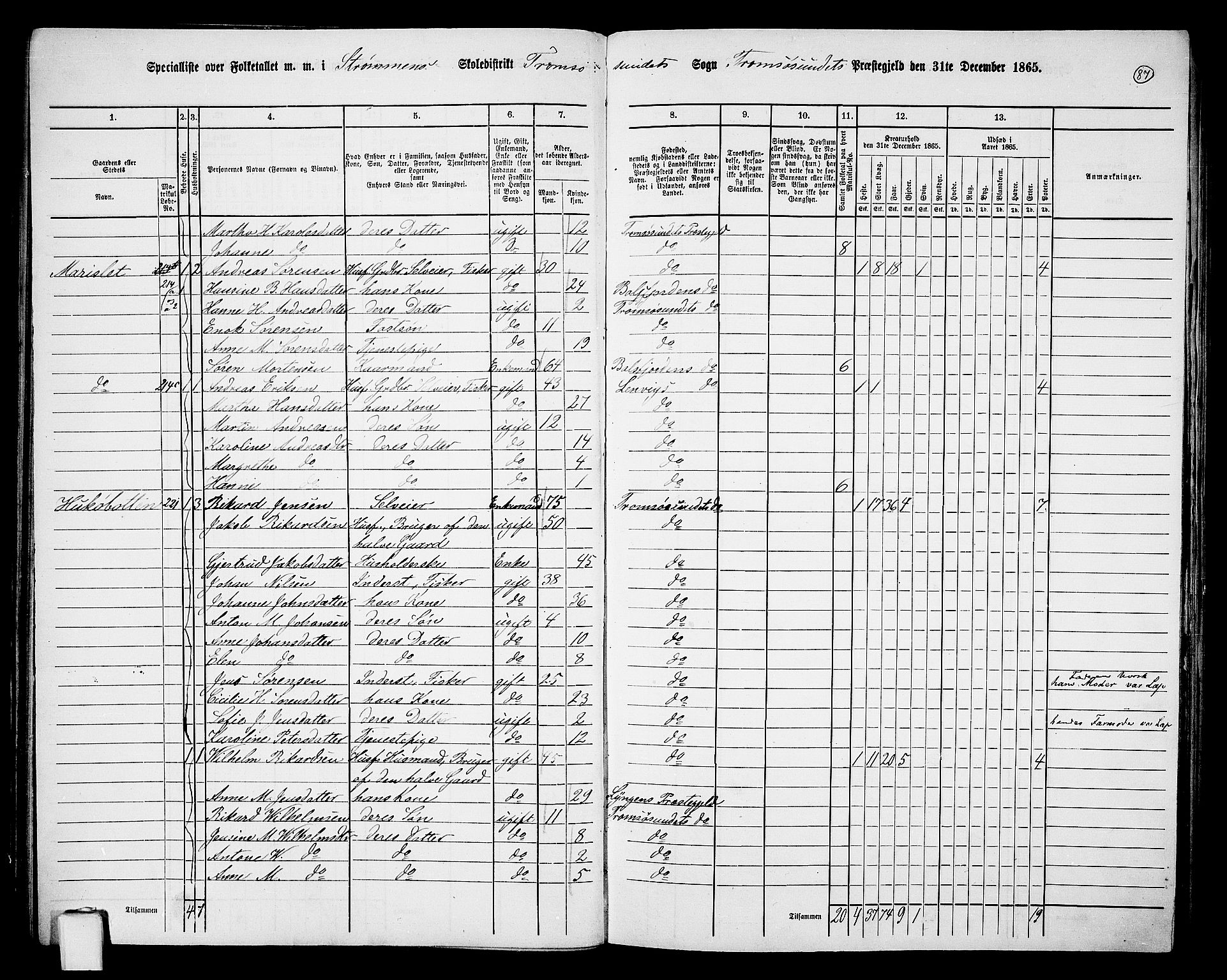 RA, Folketelling 1865 for 1934P Tromsøysund prestegjeld, 1865, s. 76