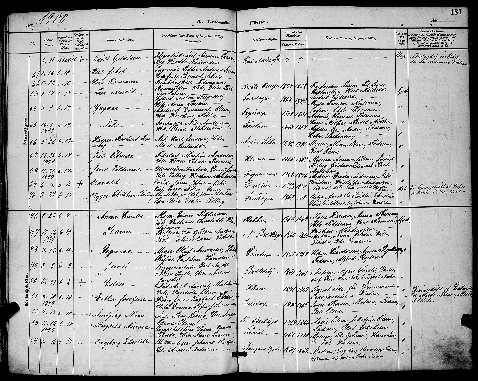 Skien kirkebøker, AV/SAKO-A-302/G/Ga/L0007: Klokkerbok nr. 7, 1891-1900, s. 181