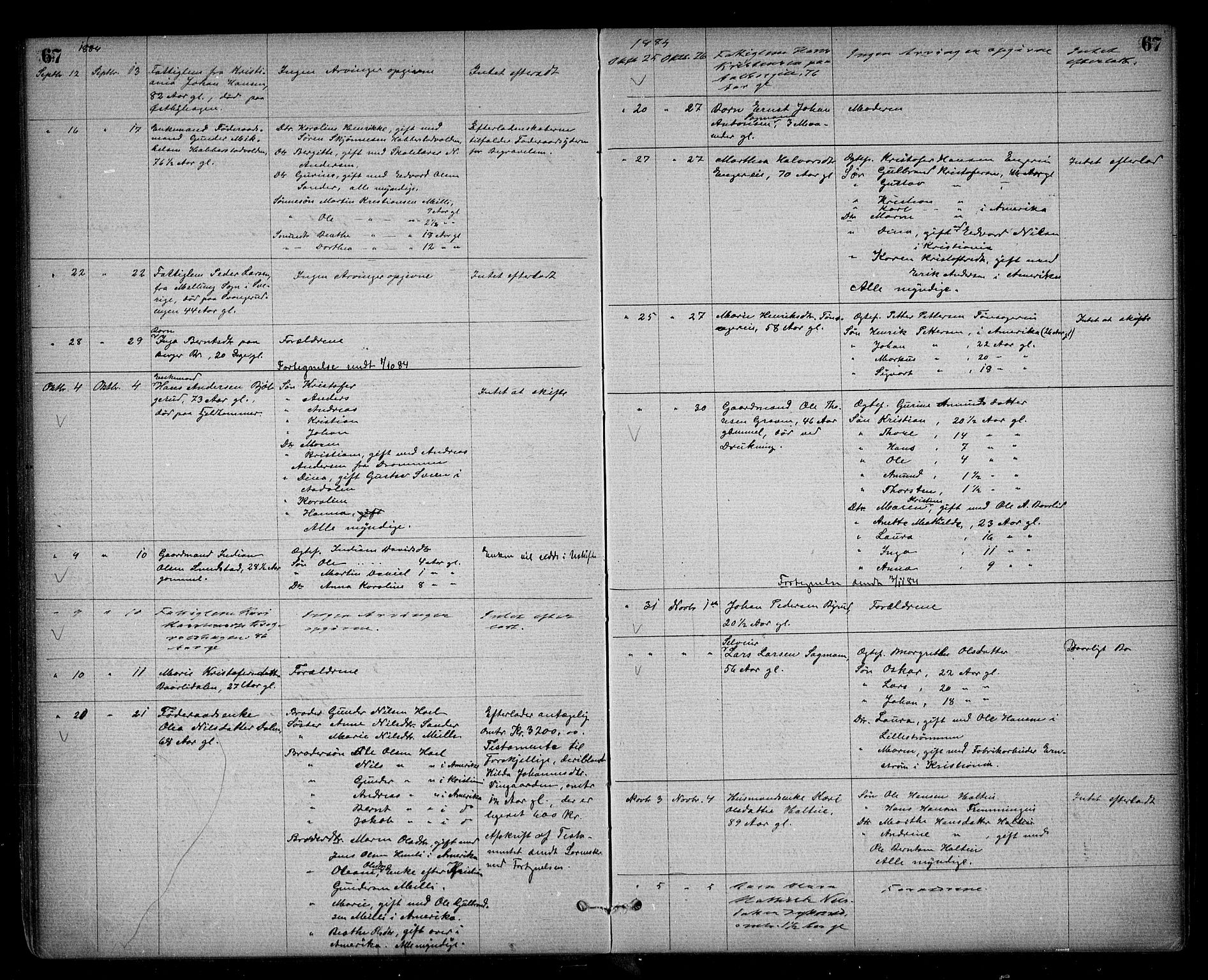 Eidsvoll lensmannskontor, AV/SAO-A-10266a/H/Ha/Haa/L0002: Dødsfallsprotokoll, 1871-1896, s. 67