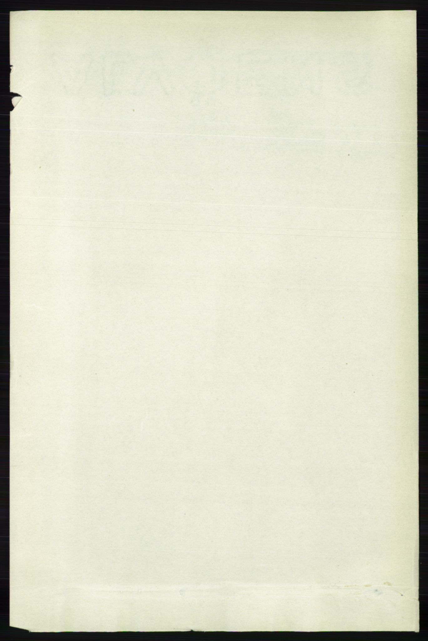 RA, Folketelling 1891 for 0936 Hornnes herred, 1891, s. 1010